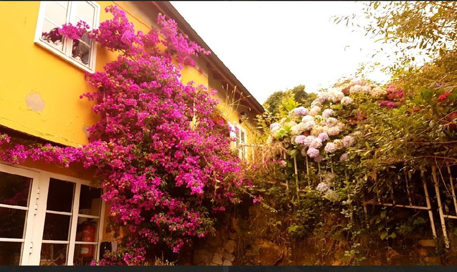 Casas o chalets-Venta-ValdÃ©s-1840586-Foto-5