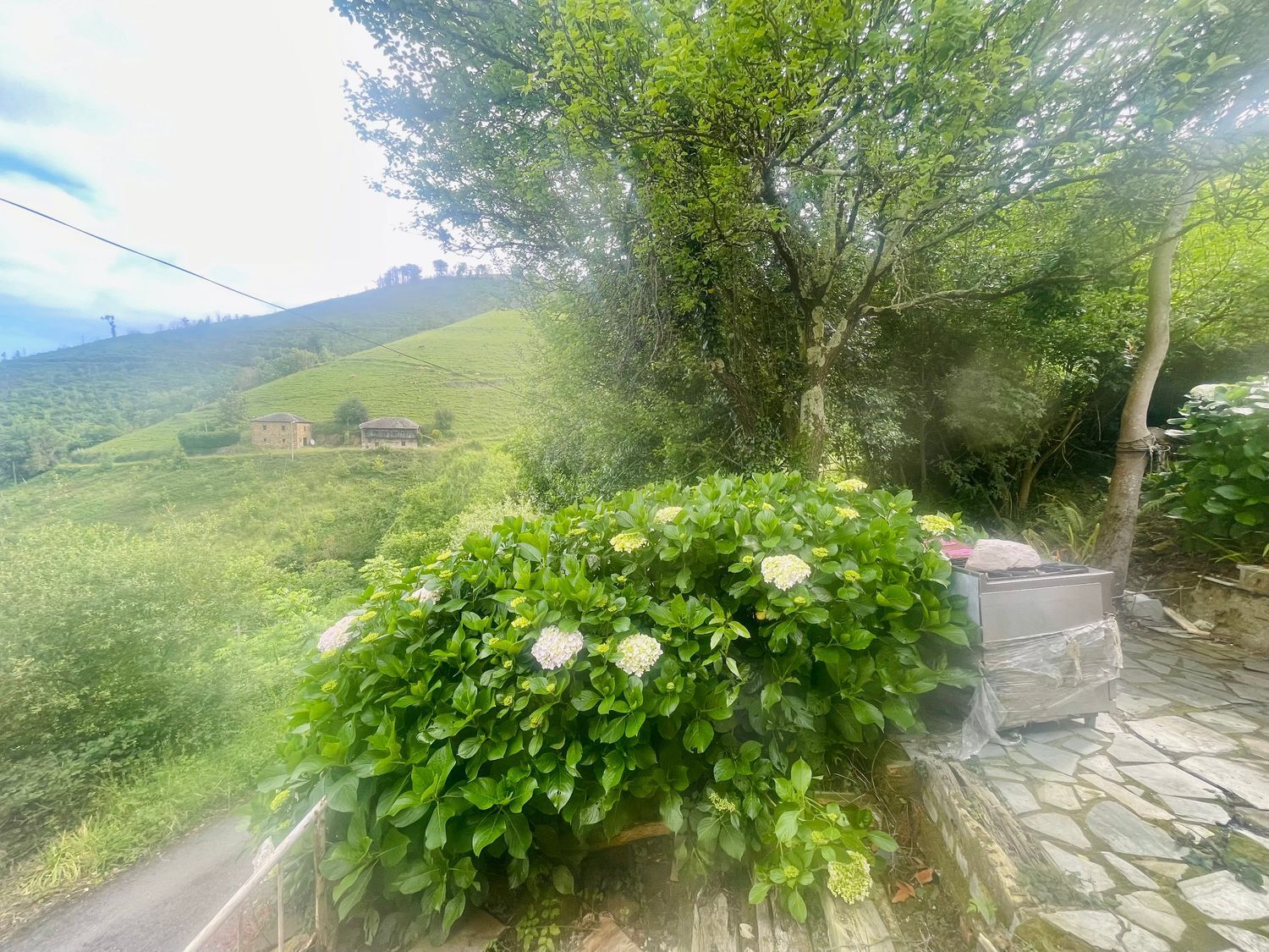 Casas o chalets-Venta-ValdÃ©s-1840586-Foto-9
