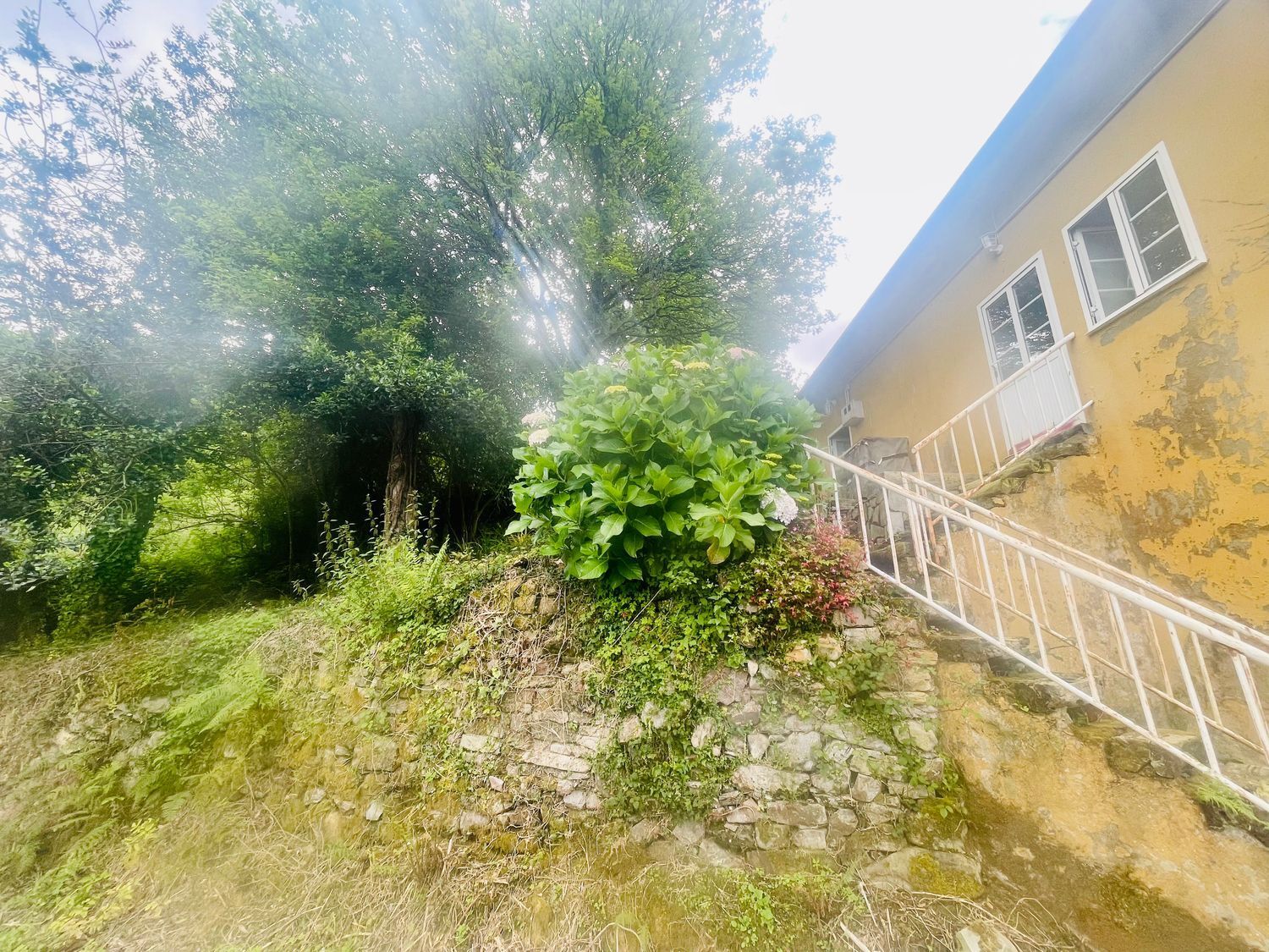Casas o chalets-Venta-ValdÃ©s-1840586-Foto-6