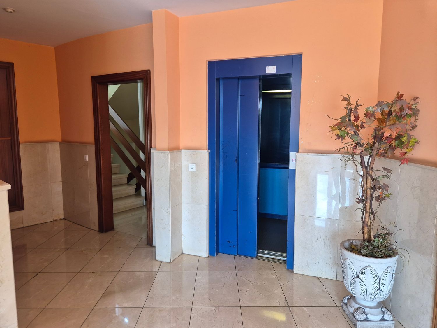 Pisos-Venta-GijÃ³n-1840589-Foto-39
