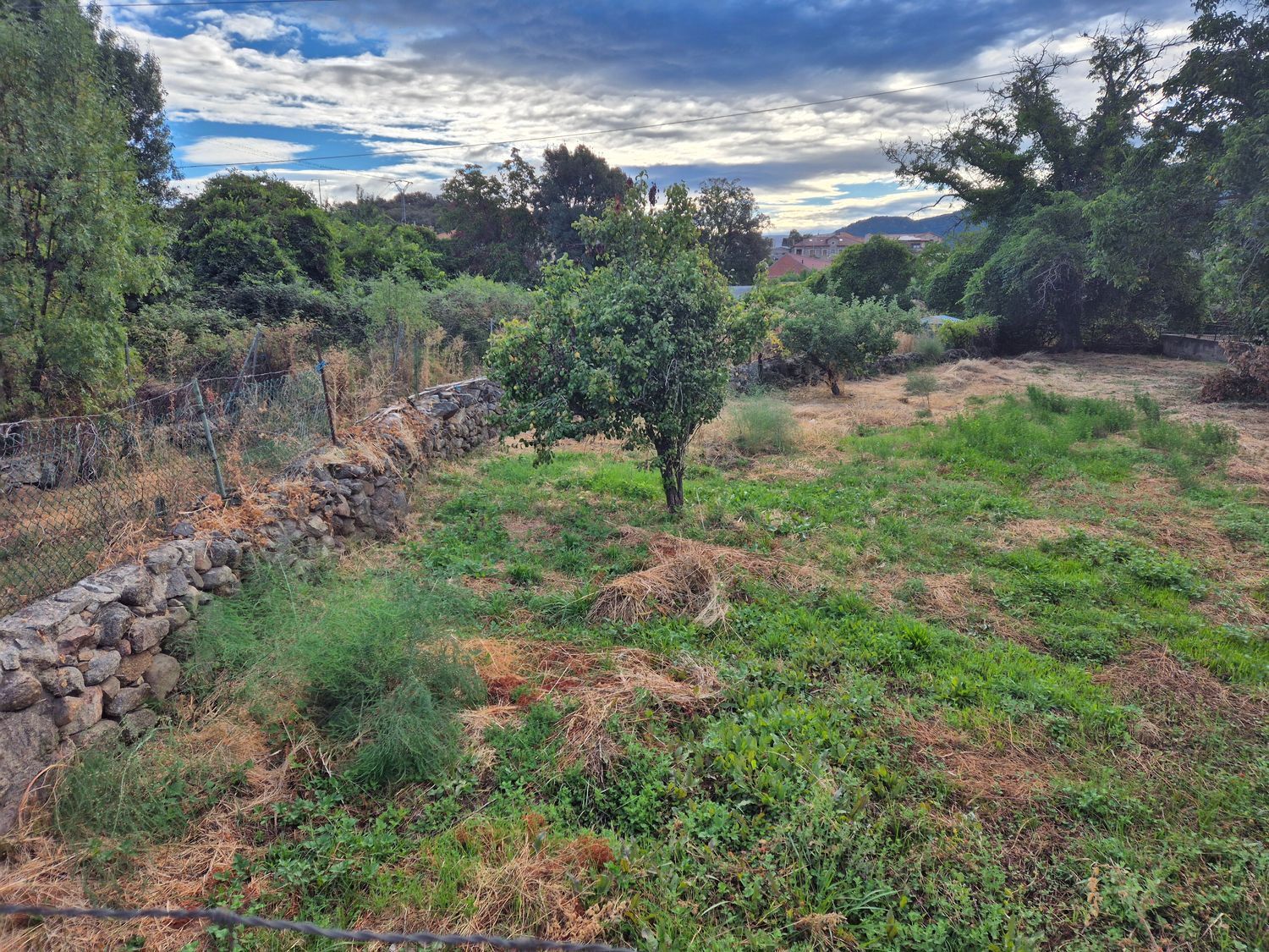 Fincas y solares-Venta-Navaluenga-1839848-Foto-2