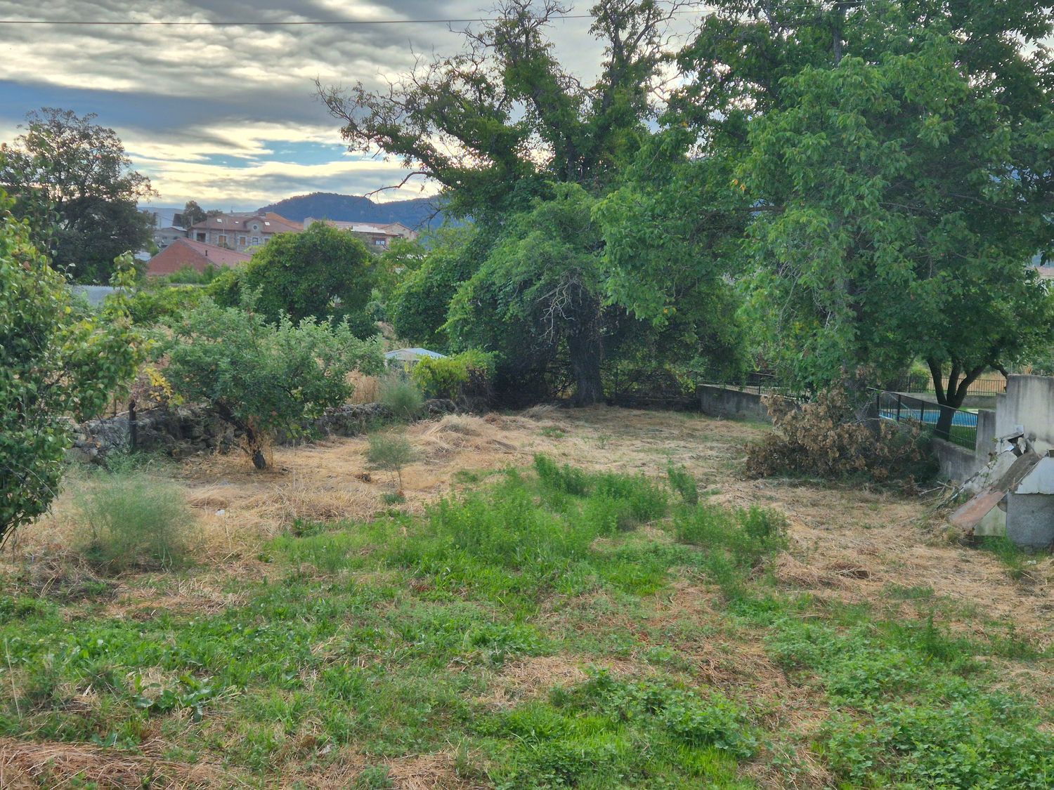 Fincas y solares-Venta-Navaluenga-1839848-Foto-3