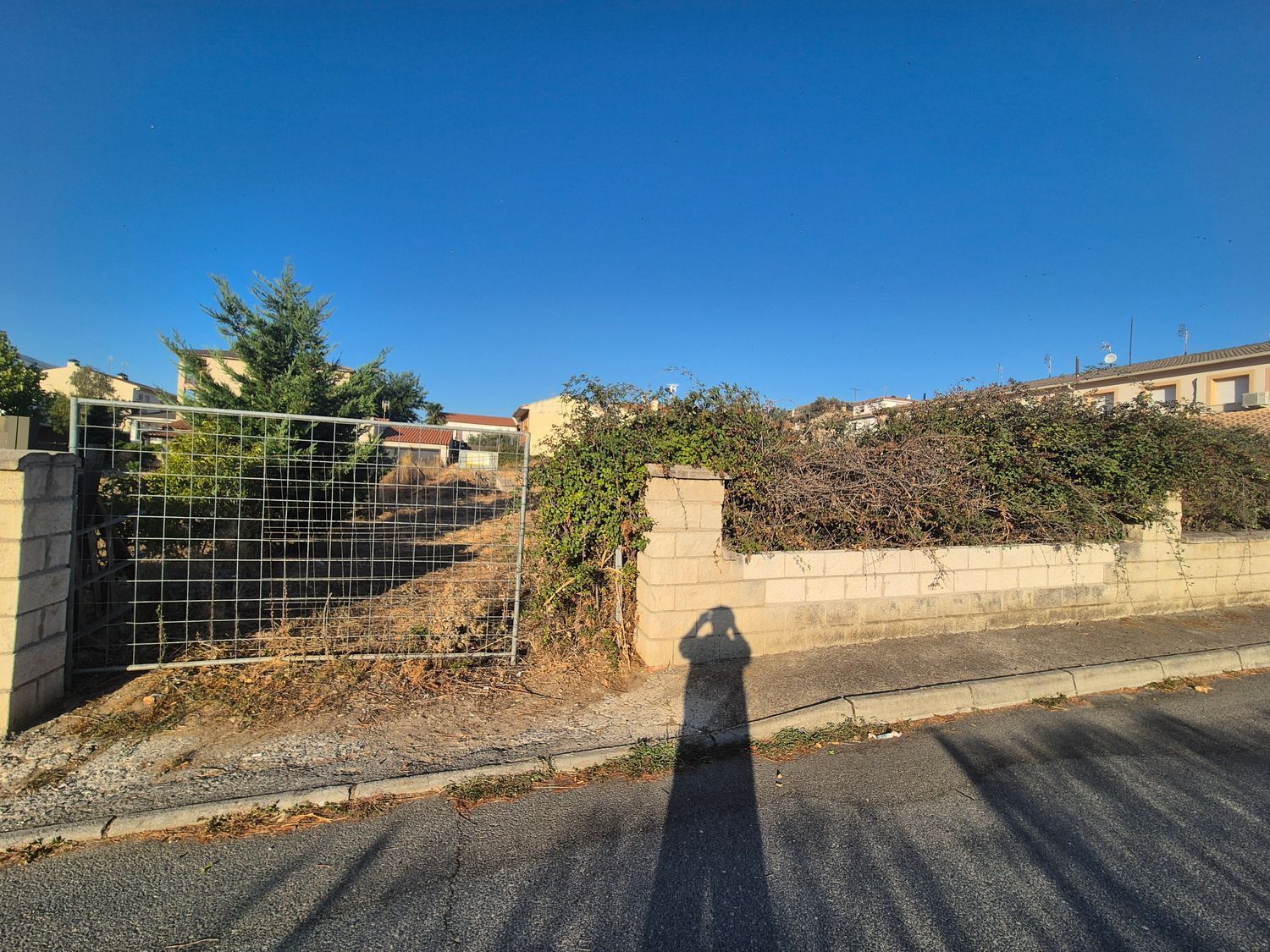 Fincas y solares-Venta-Navaluenga-1839845-Foto-4