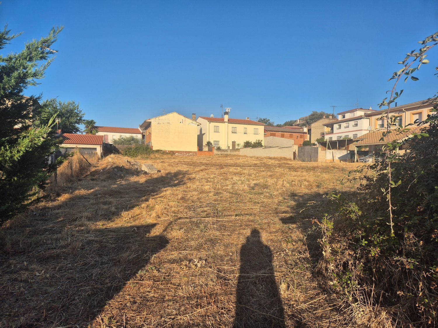 Fincas y solares-Venta-Navaluenga-1839845-Foto-3