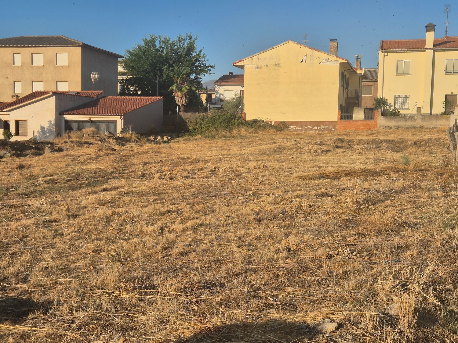 Fincas y solares-Venta-Navaluenga-1839845-Foto-2