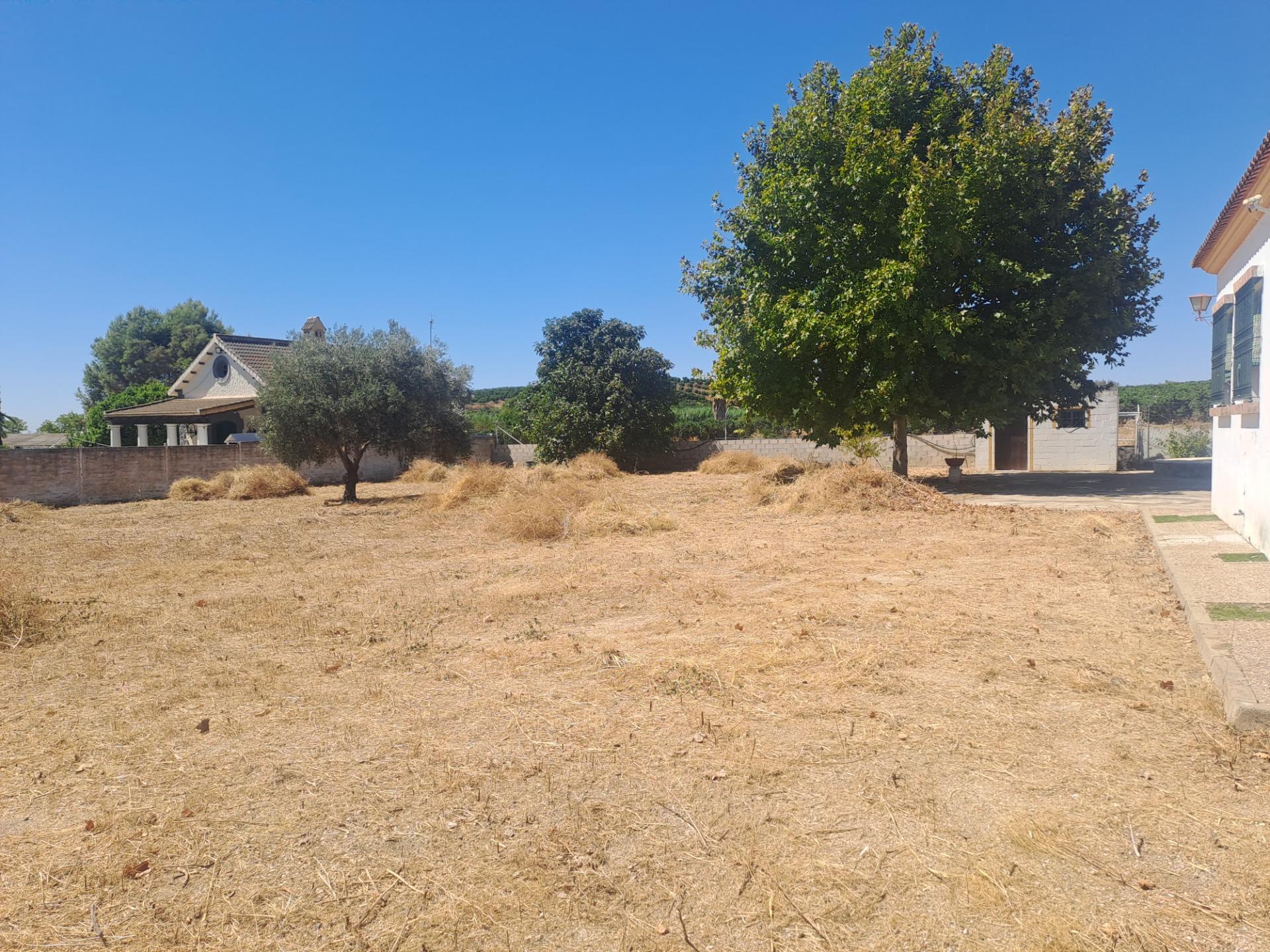 Casas o chalets-Venta-Cantillana-1841378-Foto-29