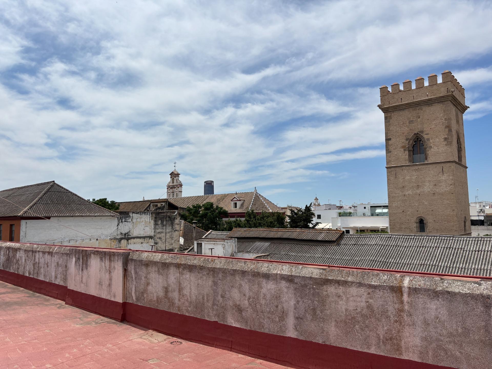 Pisos-Alquiler-Burguillos-1840902-Foto-55