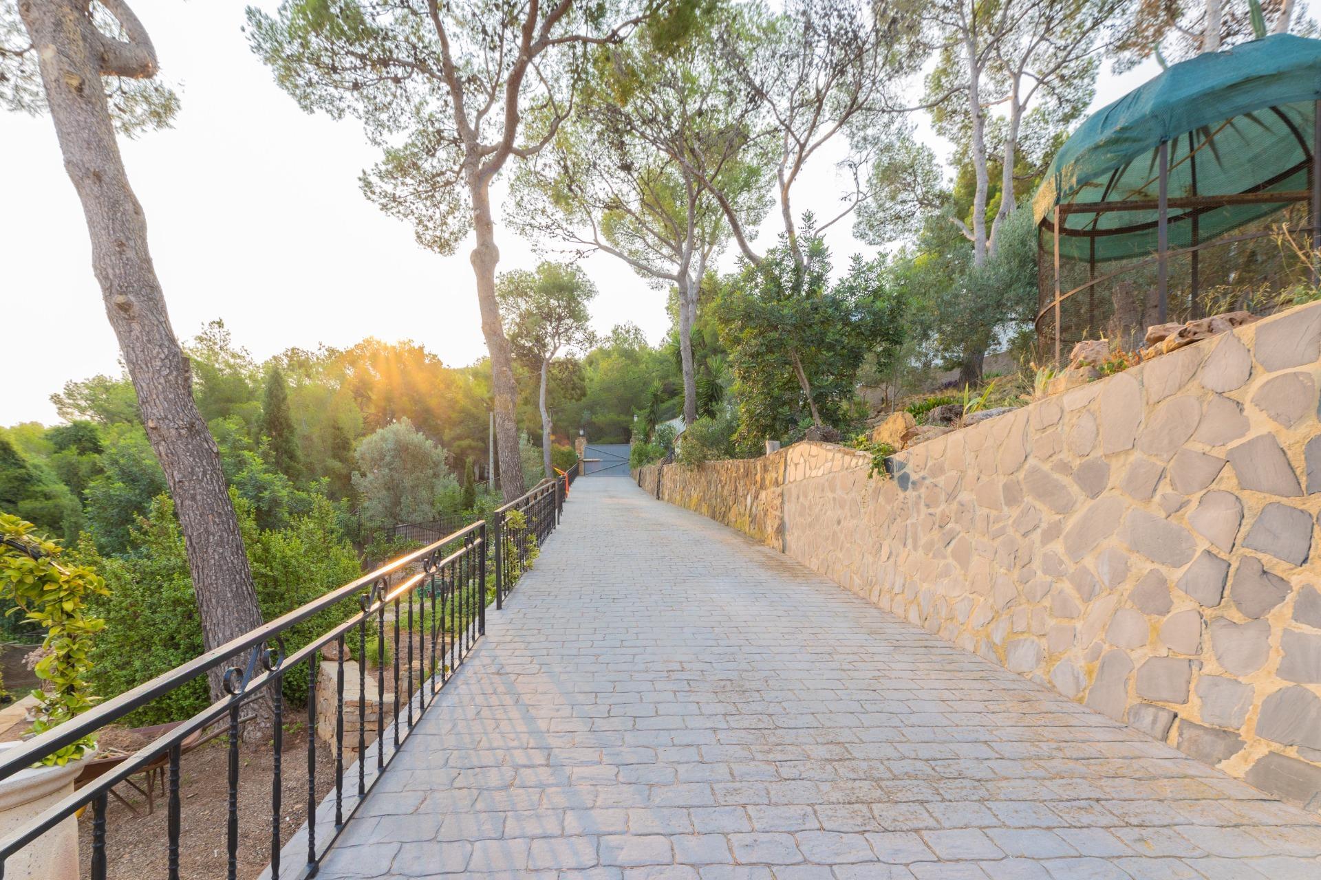 Casas o chalets-Venta-Segart-1840905-Foto-7