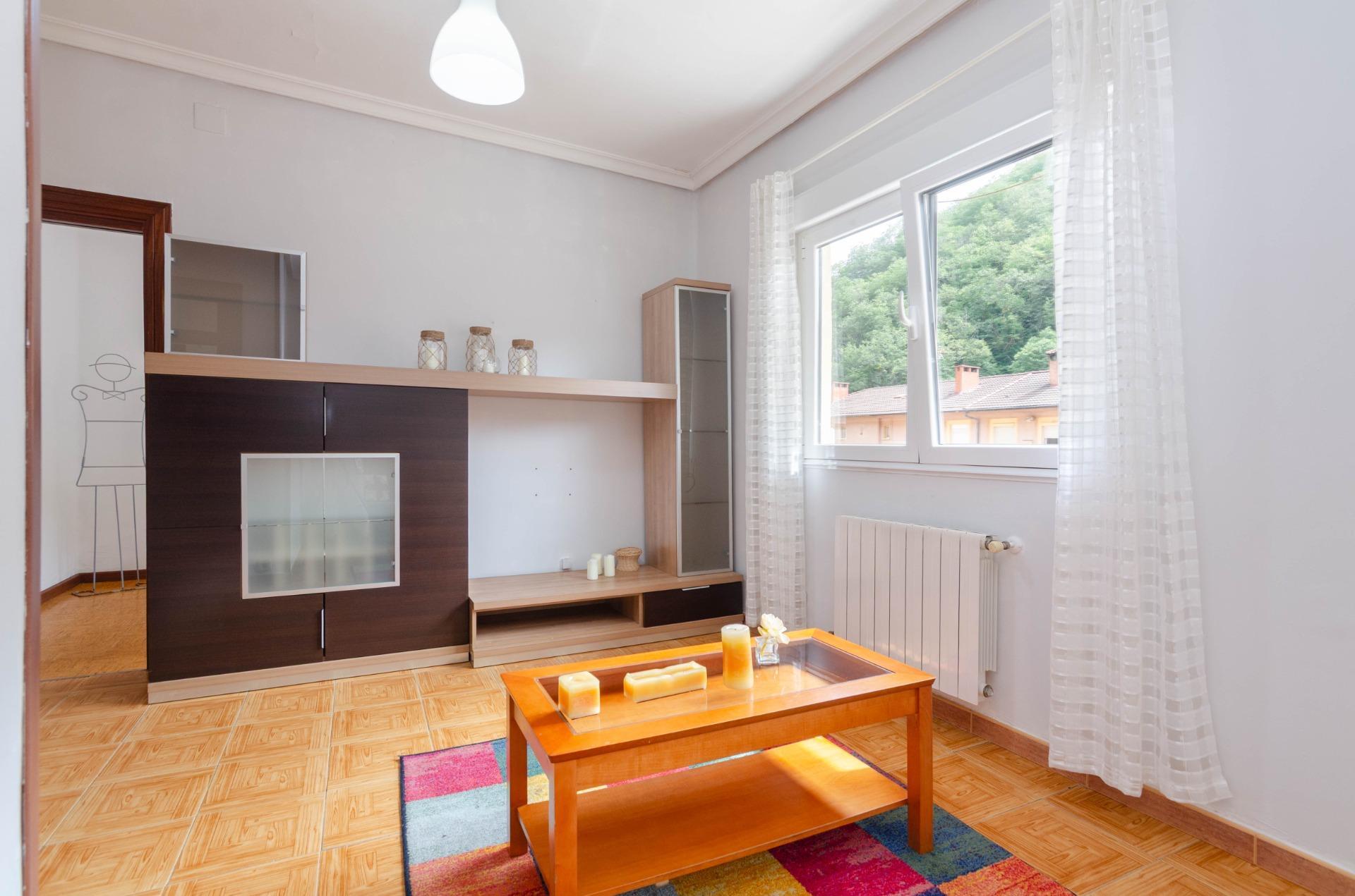 Pisos-Venta-Mieres-1840932-Foto-16