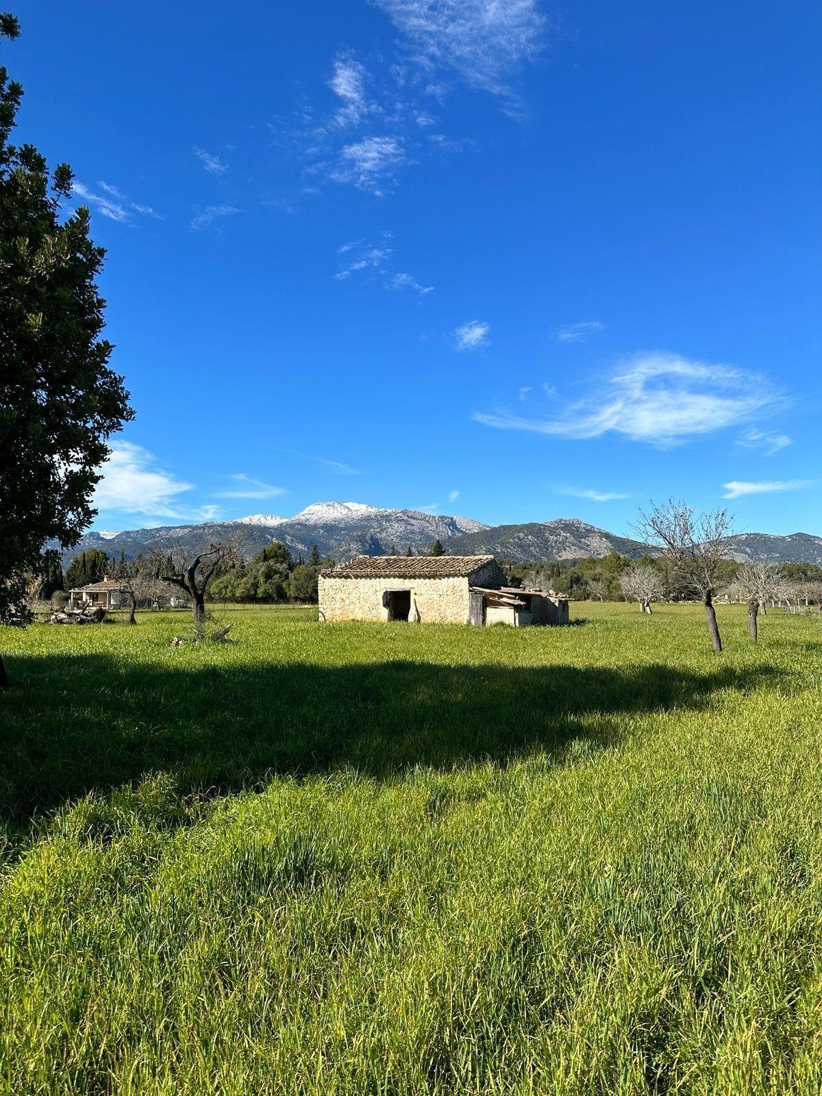 Fincas y solares-Venta-Selva-1840938-Foto-9