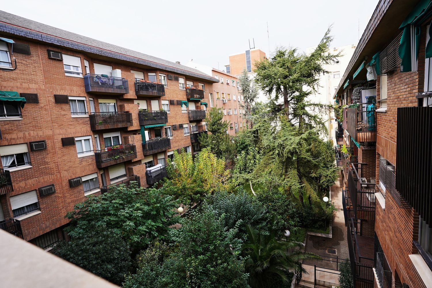 Pisos-Alquiler-Madrid-1840947