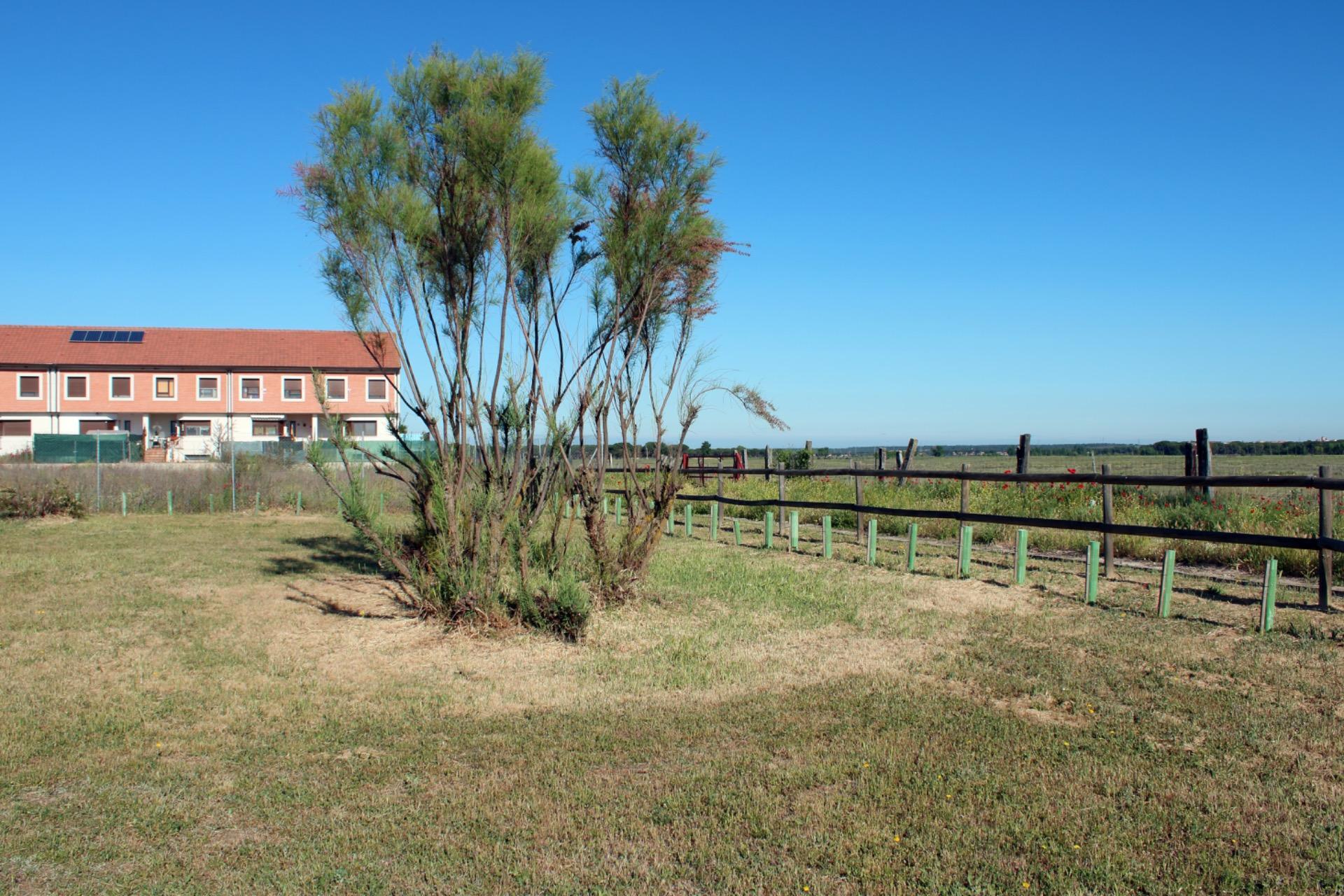 Casas o chalets-Venta-Aldeamayor de San MartÃ­n-1840959-Foto-30