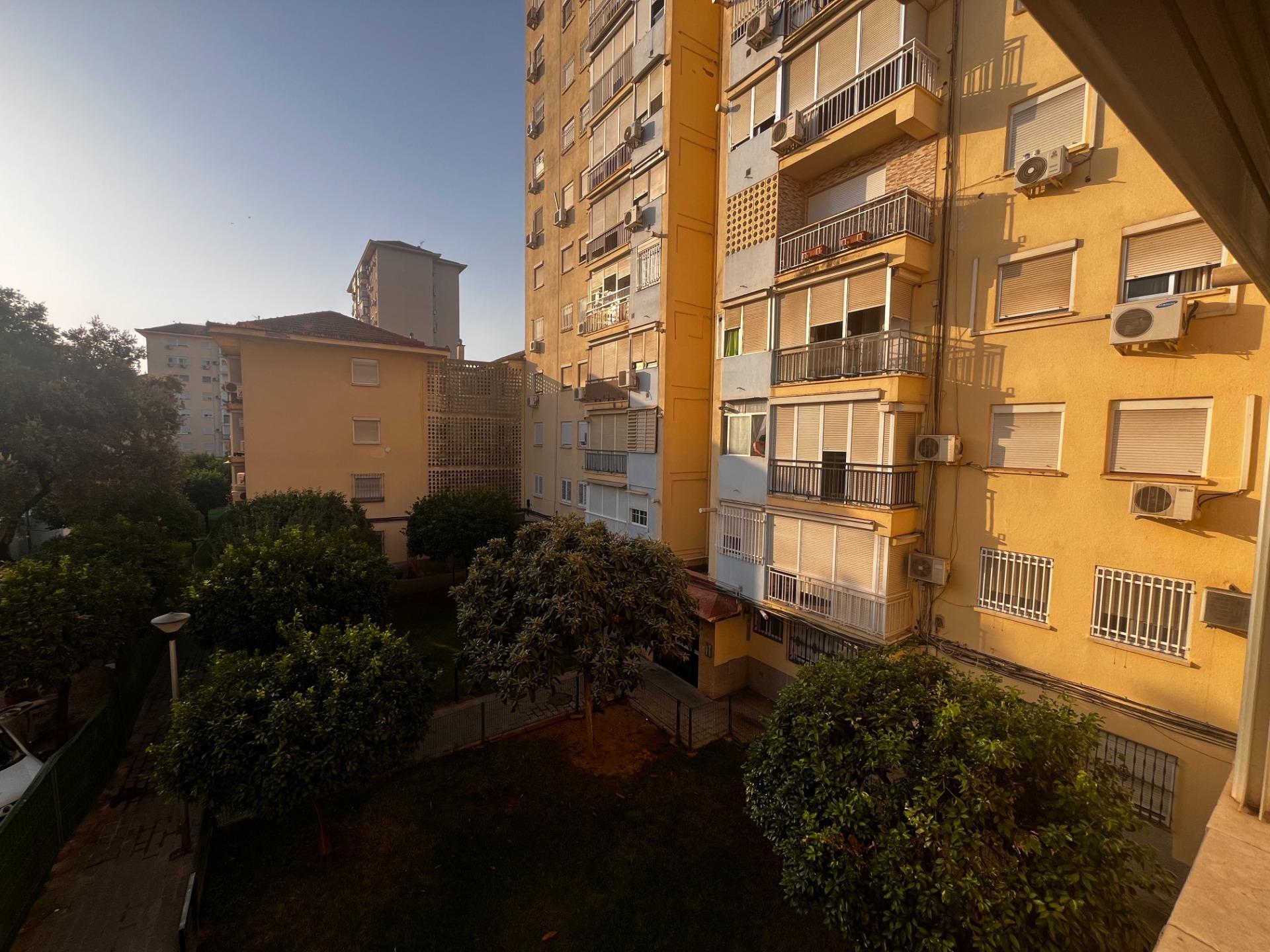 Pisos-Venta-Burguillos-1841312-Foto-3