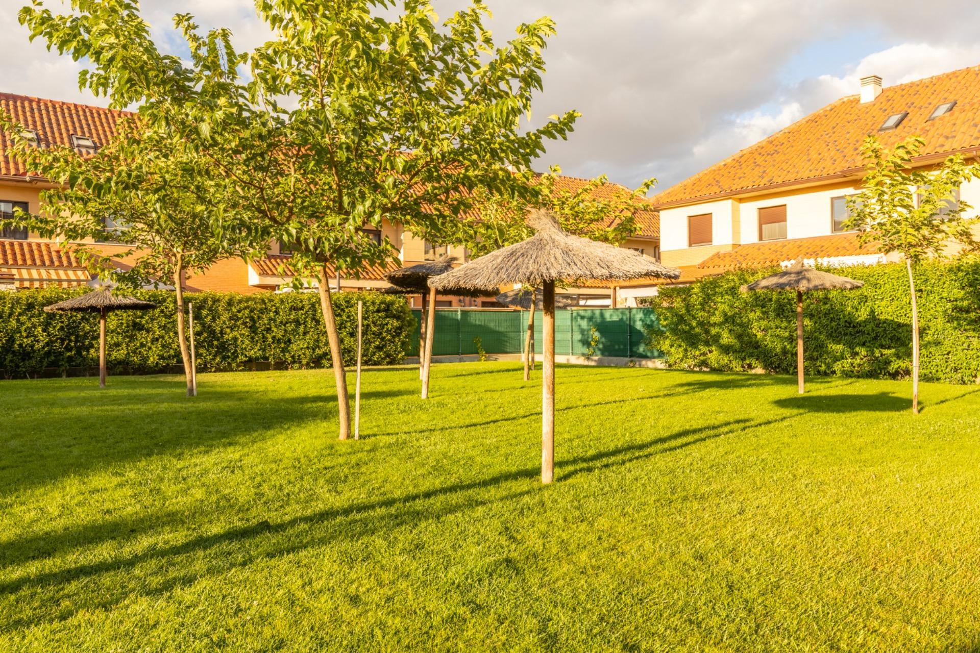 Casas o chalets-Venta-Viana de Cega-1841321-Foto-61