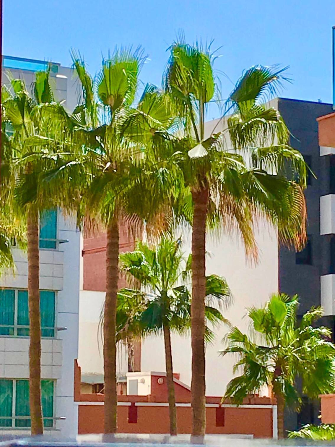 Pisos-Venta-Las Palmas de Gran Canaria-1754211-Foto-36