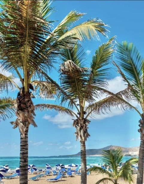 Pisos-Venta-Las Palmas de Gran Canaria-1754211-Foto-37