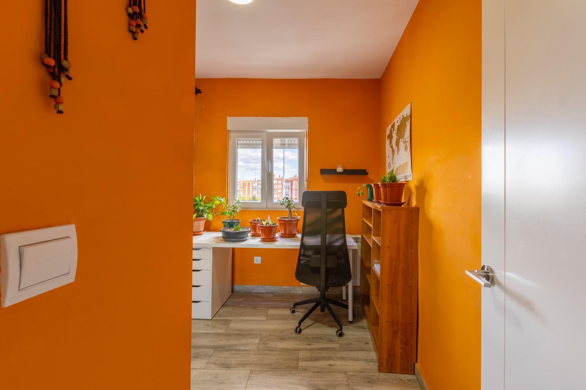 Pisos-Venta-Valladolid-1841804-Foto-10