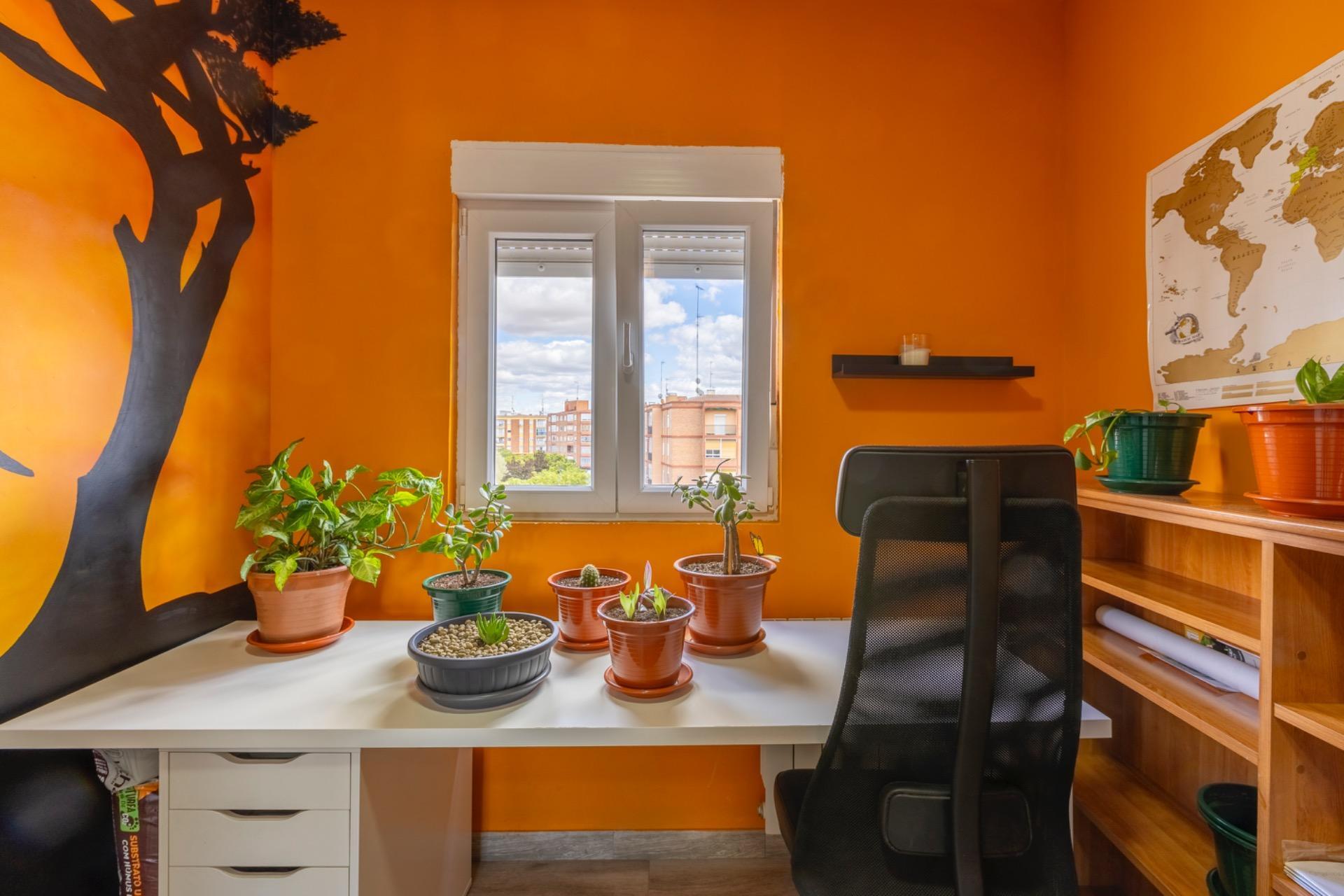 Pisos-Venta-Valladolid-1841804-Foto-11