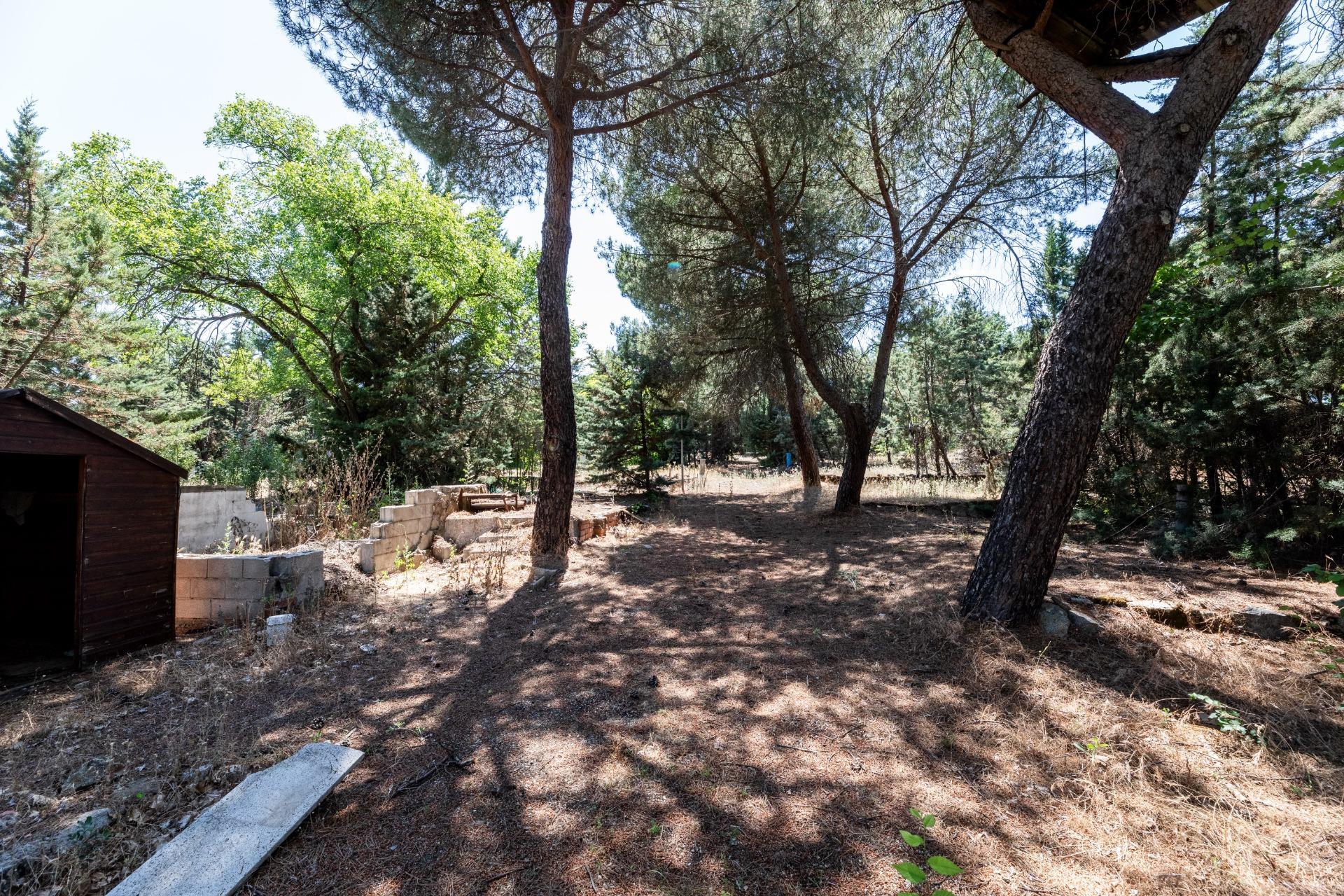 Fincas y solares-Venta-Valdemorillo-1586511-Foto-7