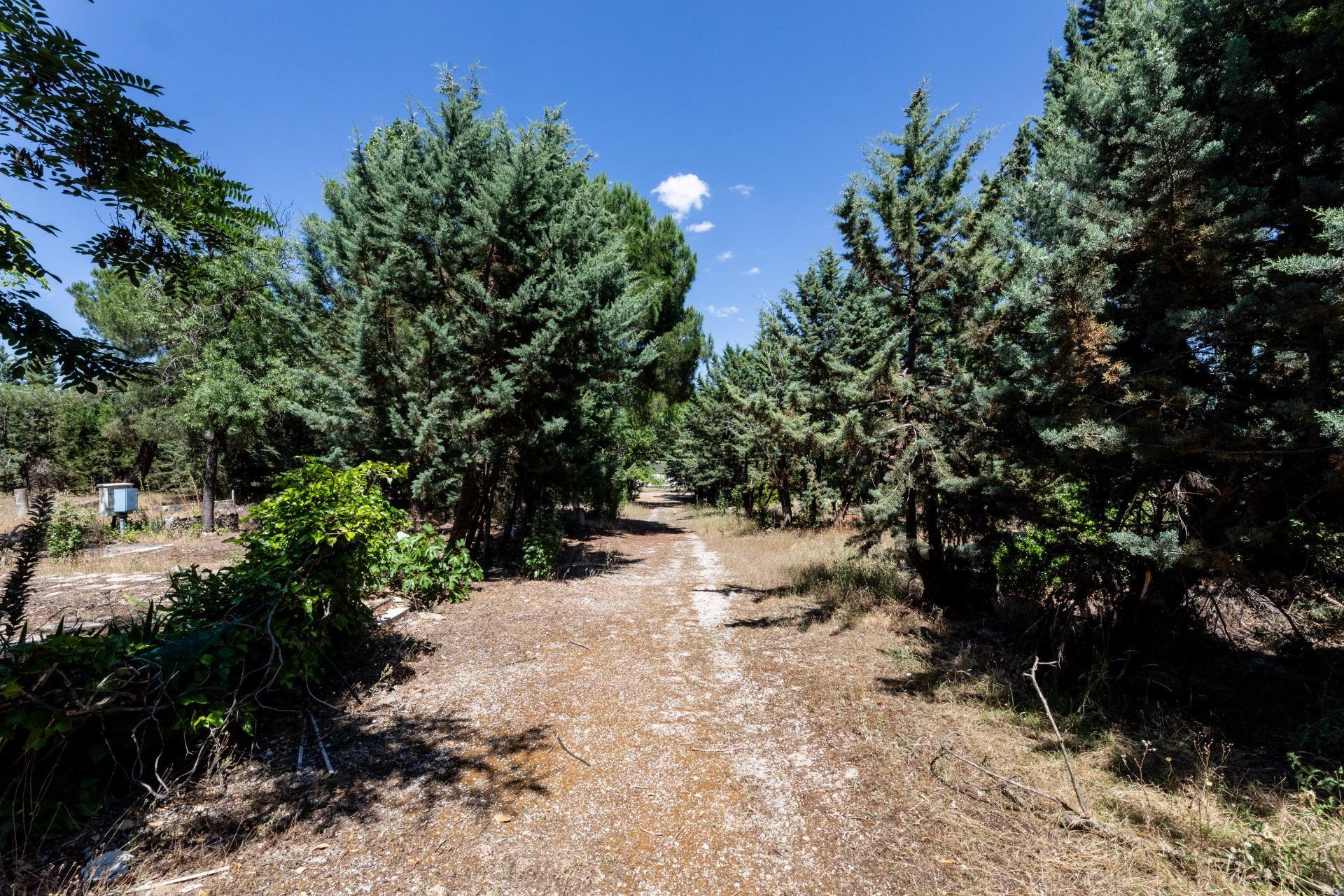 Fincas y solares-Venta-Valdemorillo-1586511-Foto-11