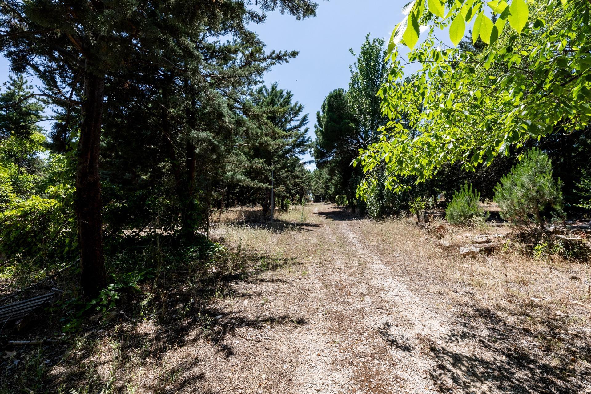 Fincas y solares-Venta-Valdemorillo-1586511-Foto-10