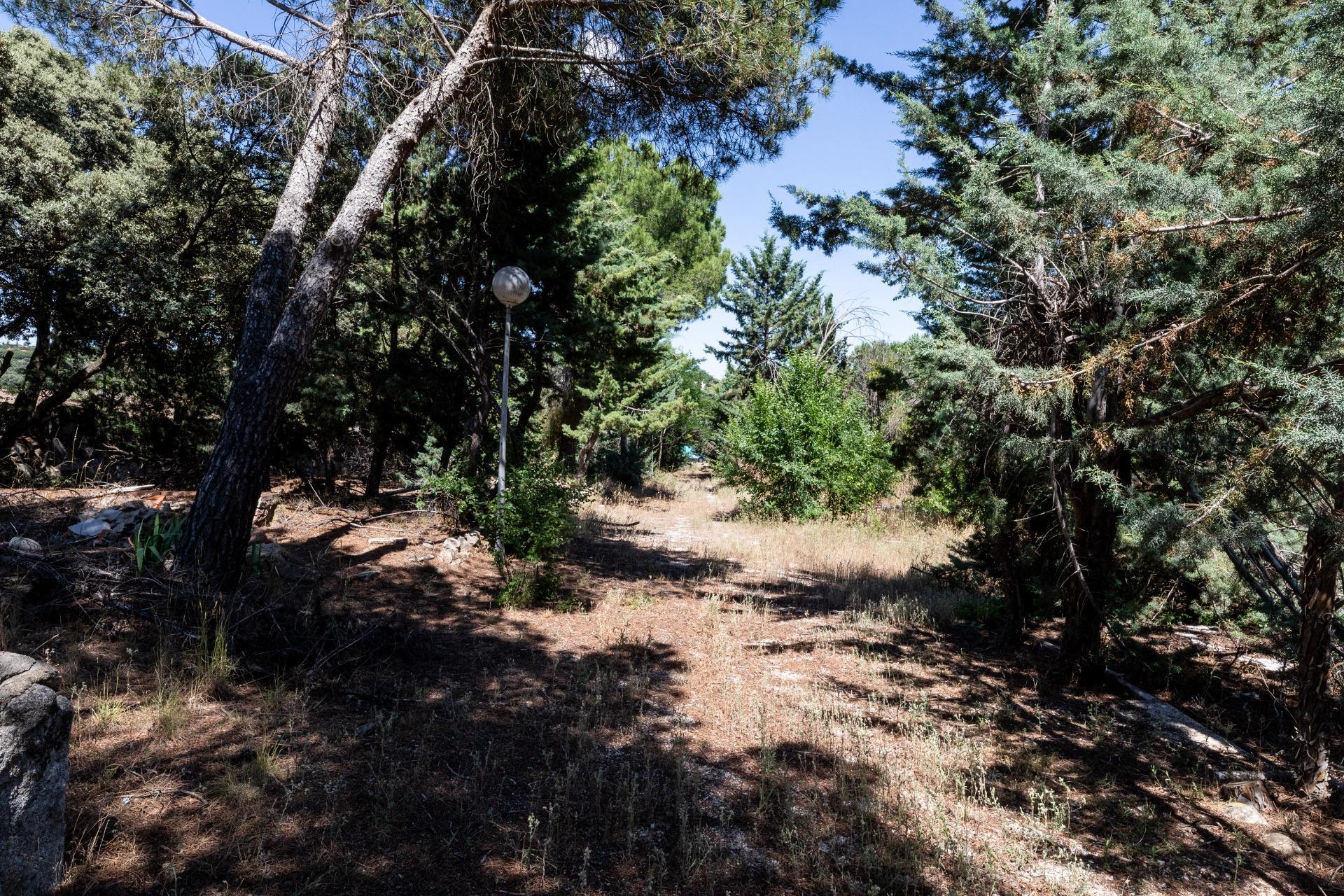 Fincas y solares-Venta-Valdemorillo-1586511-Foto-13