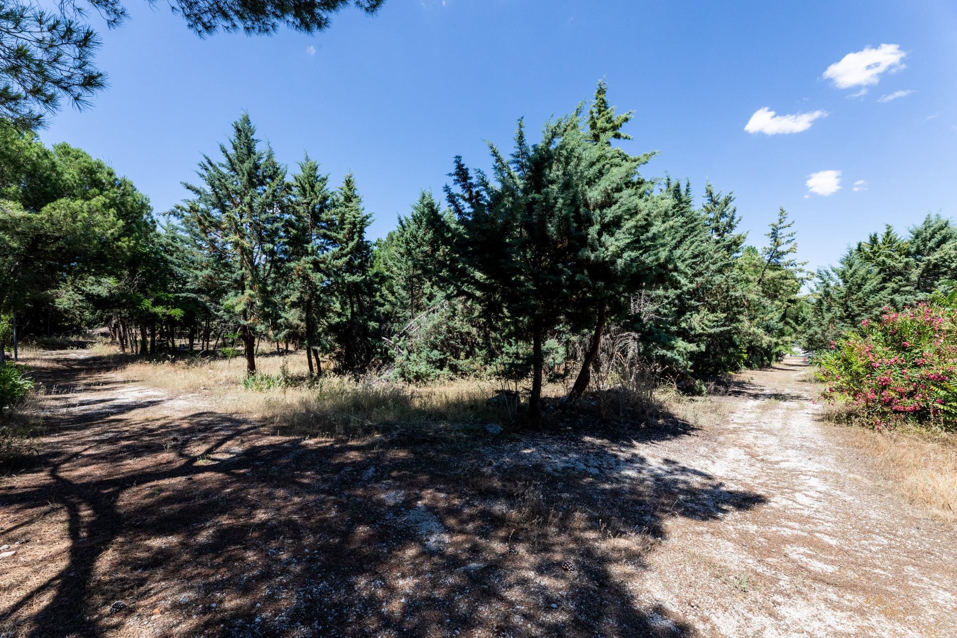 Fincas y solares-Venta-Valdemorillo-1586511-Foto-12