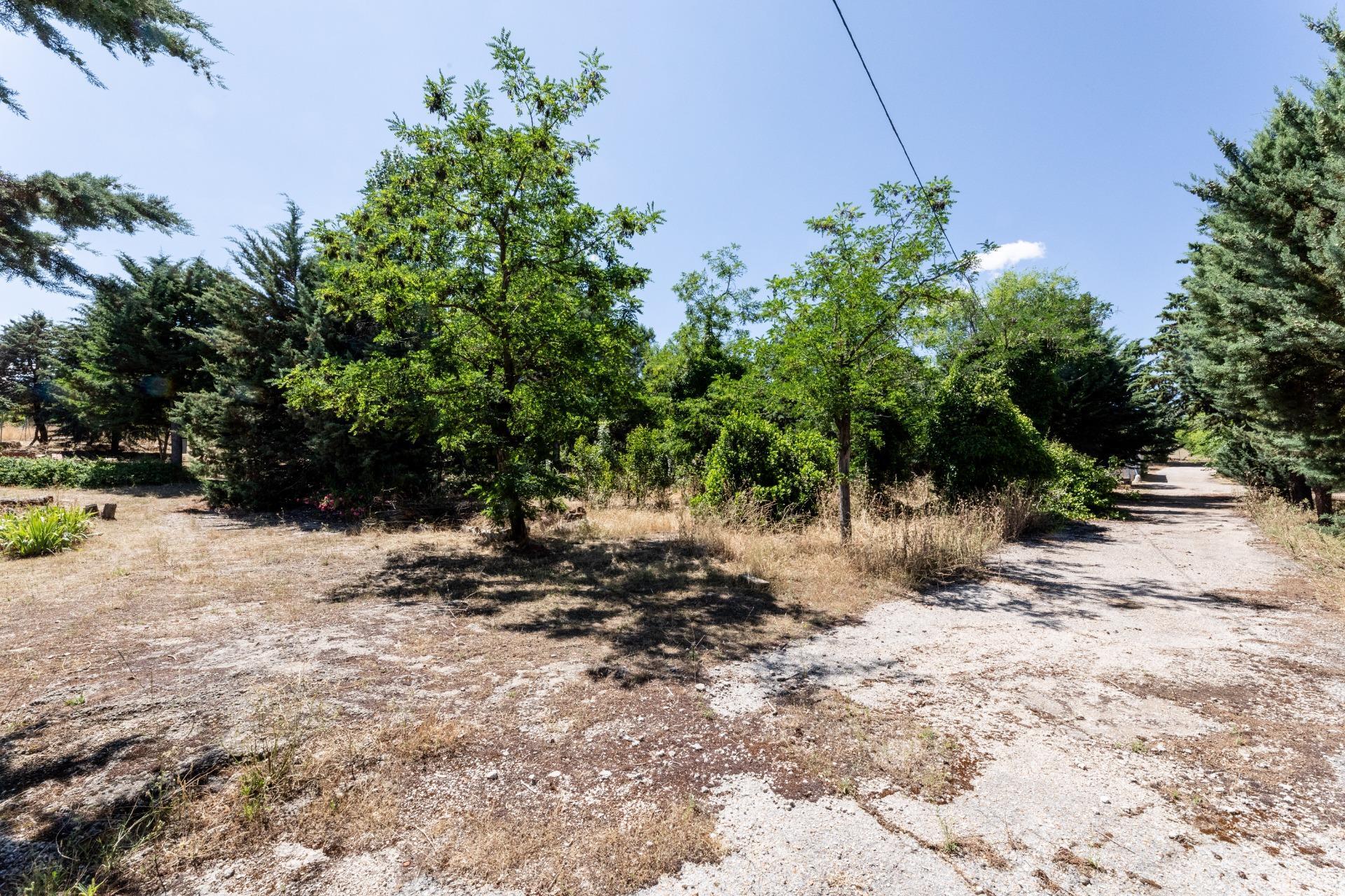 Fincas y solares-Venta-Valdemorillo-1586511-Foto-15