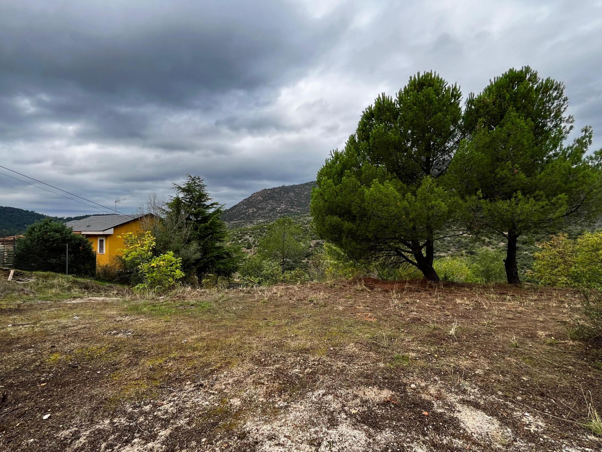 Fincas y solares-Venta-Robledo de Chavela-1462424-Foto-3