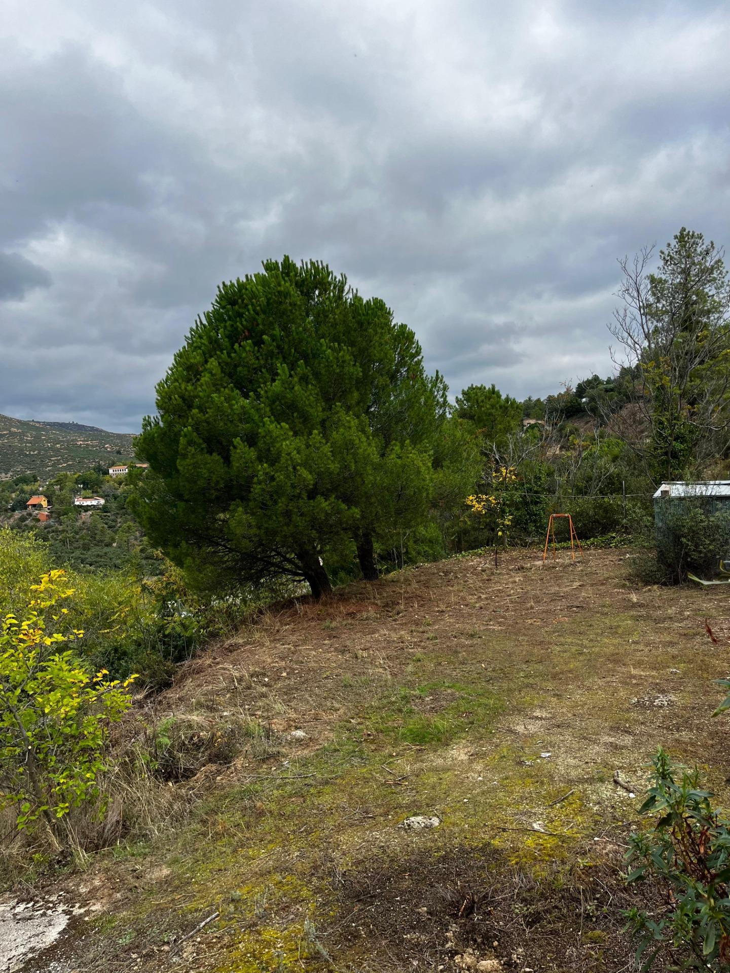 Fincas y solares-Venta-Robledo de Chavela-1462424-Foto-8