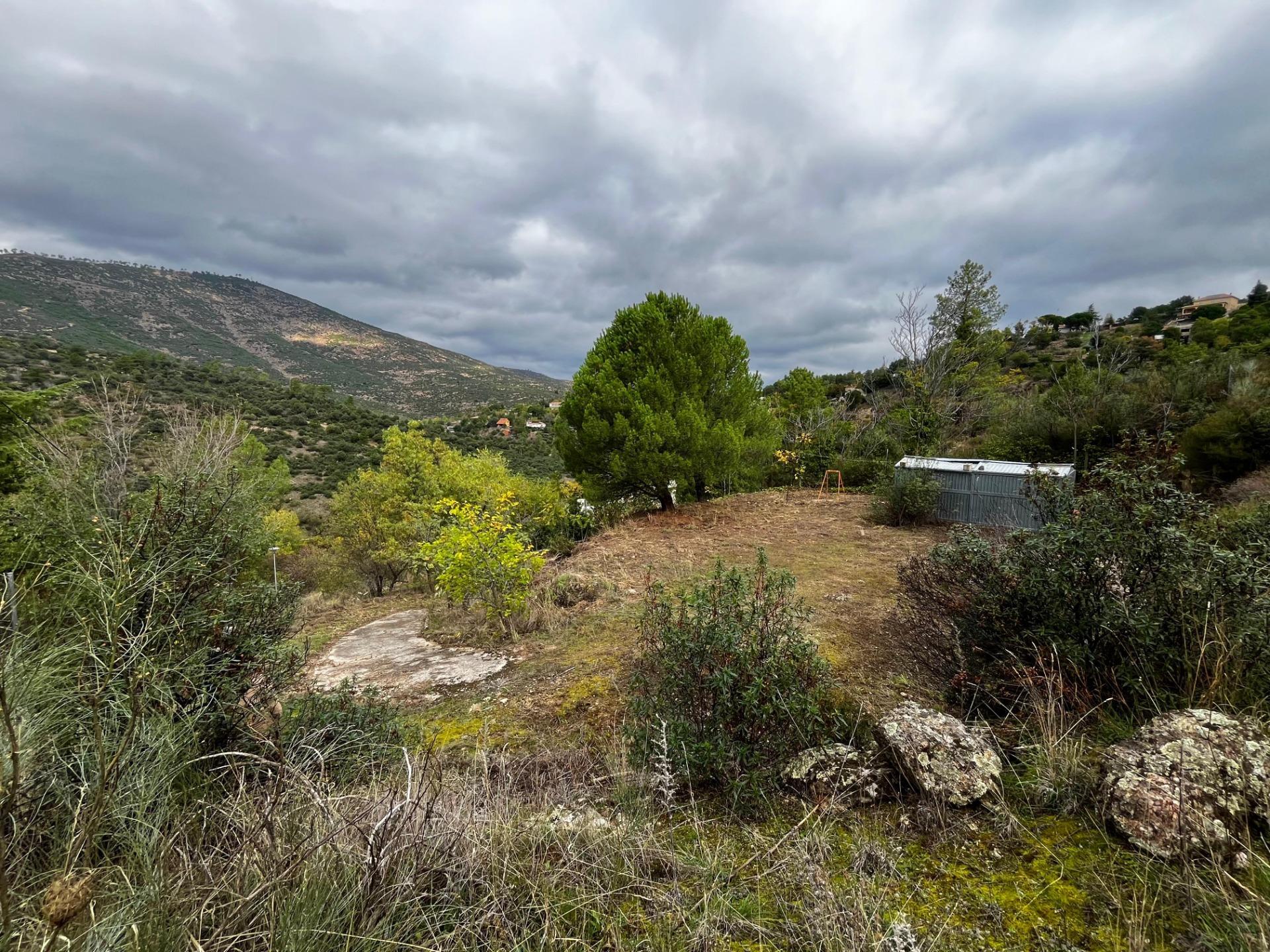 Fincas y solares-Venta-Robledo de Chavela-1462424-Foto-5