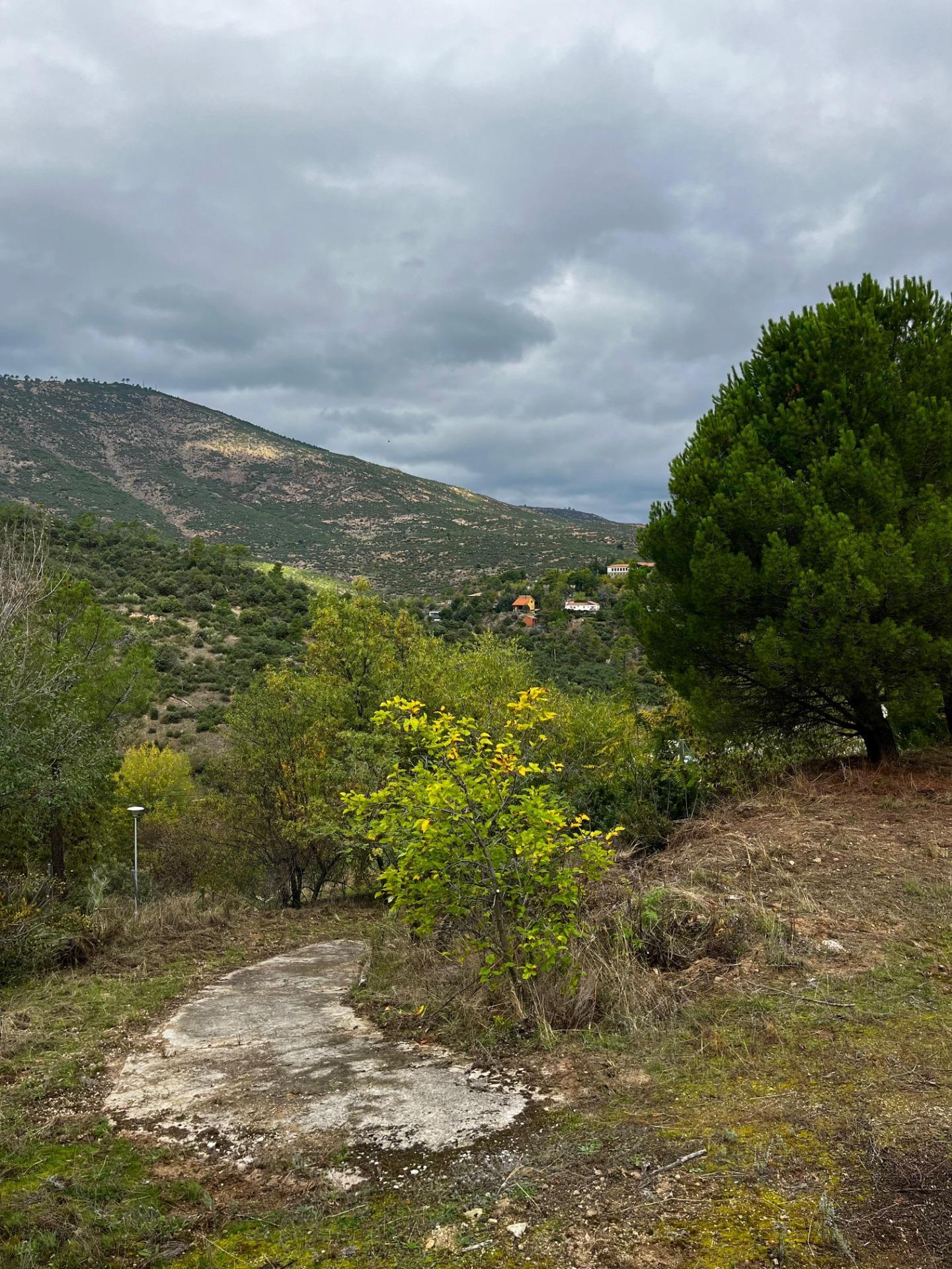 Fincas y solares-Venta-Robledo de Chavela-1462424-Foto-7