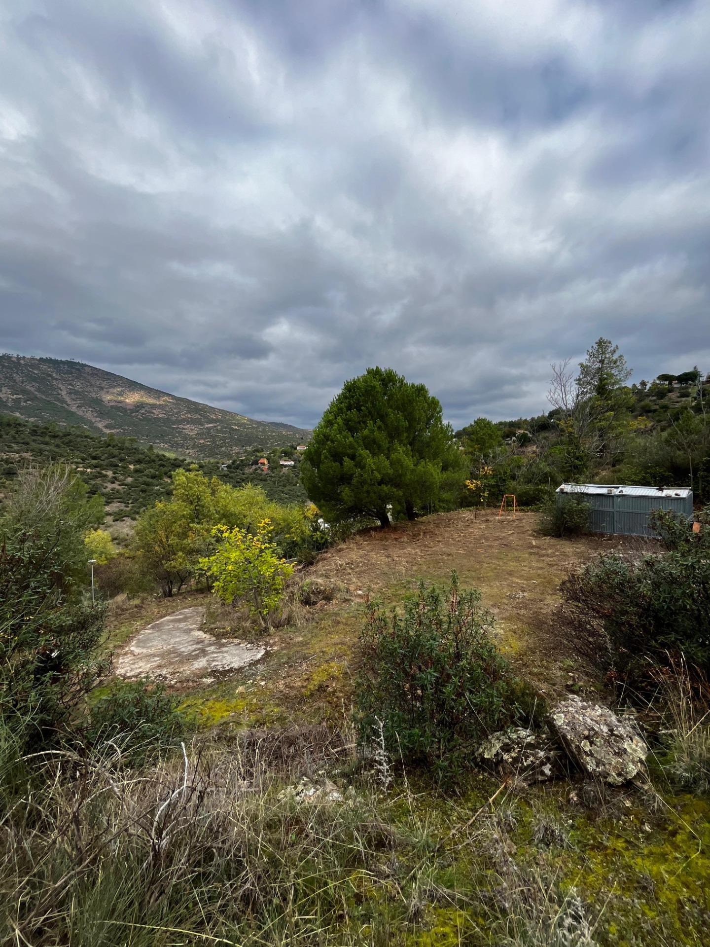 Fincas y solares-Venta-Robledo de Chavela-1462424-Foto-6