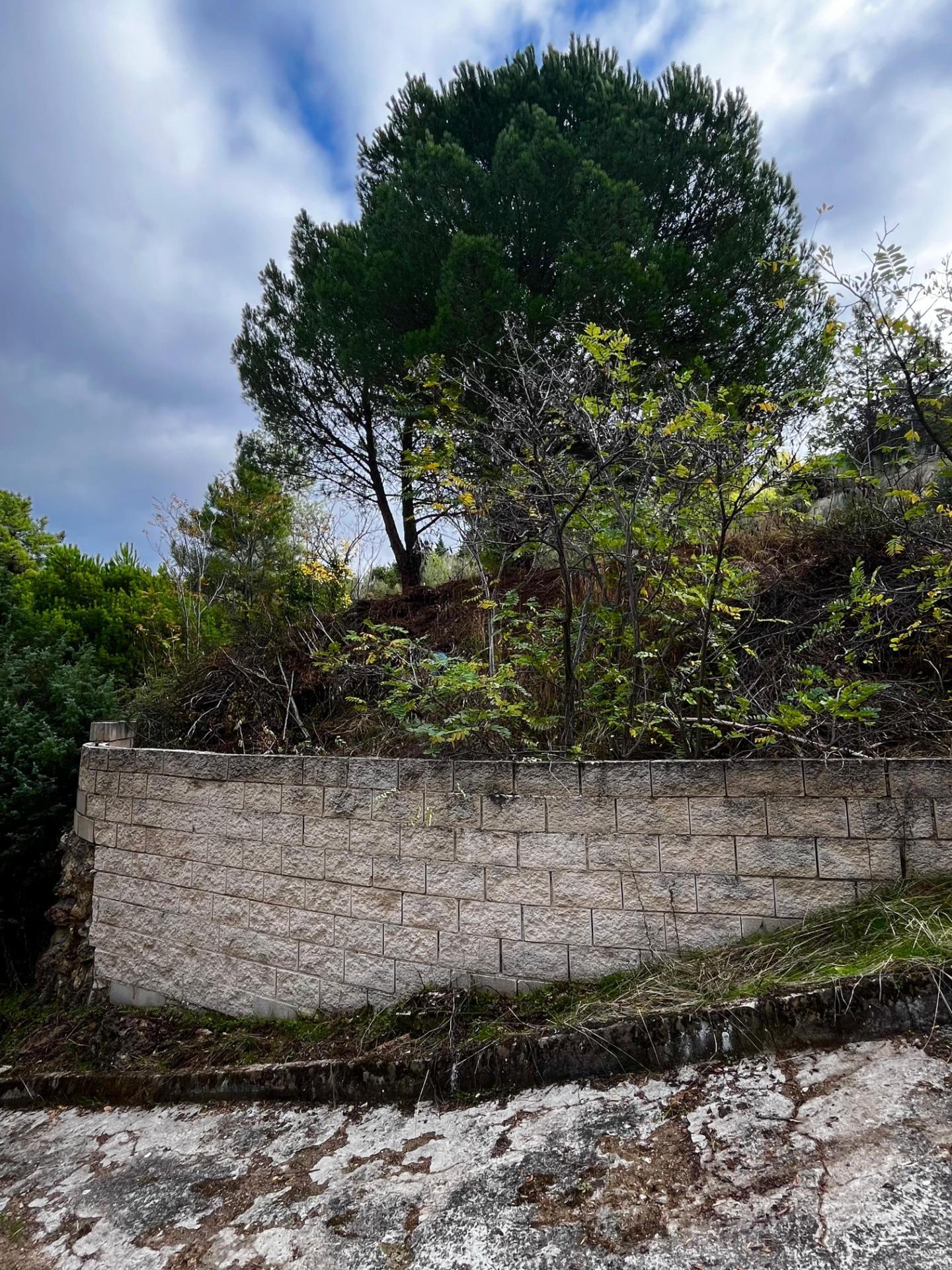 Fincas y solares-Venta-Robledo de Chavela-1462424-Foto-4