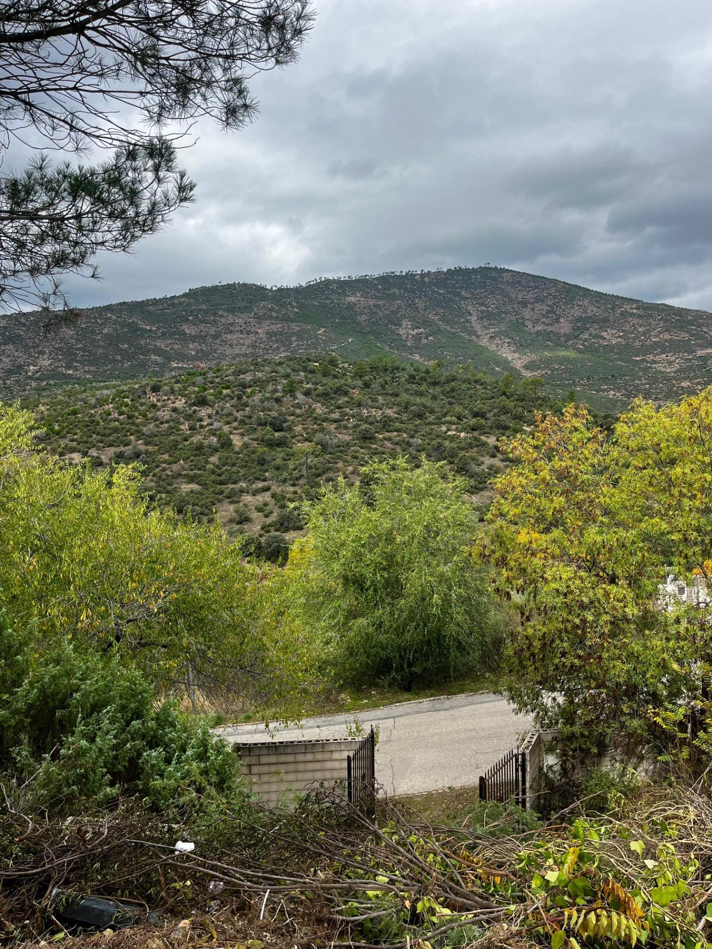 Fincas y solares-Venta-Robledo de Chavela-1462424-Foto-9