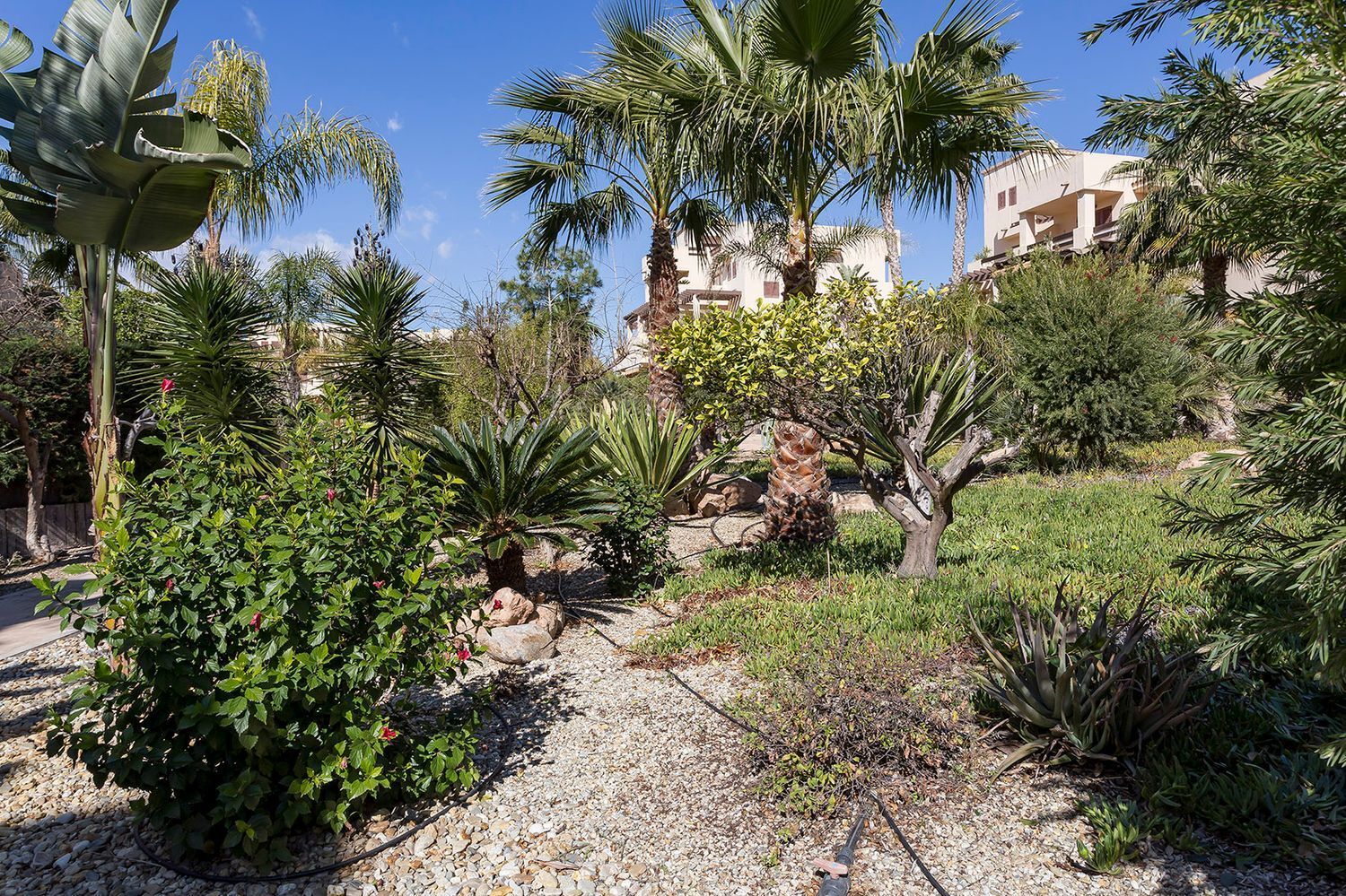 Pisos-Venta-HuÃ©rcal-Overa-1842233-Foto-41
