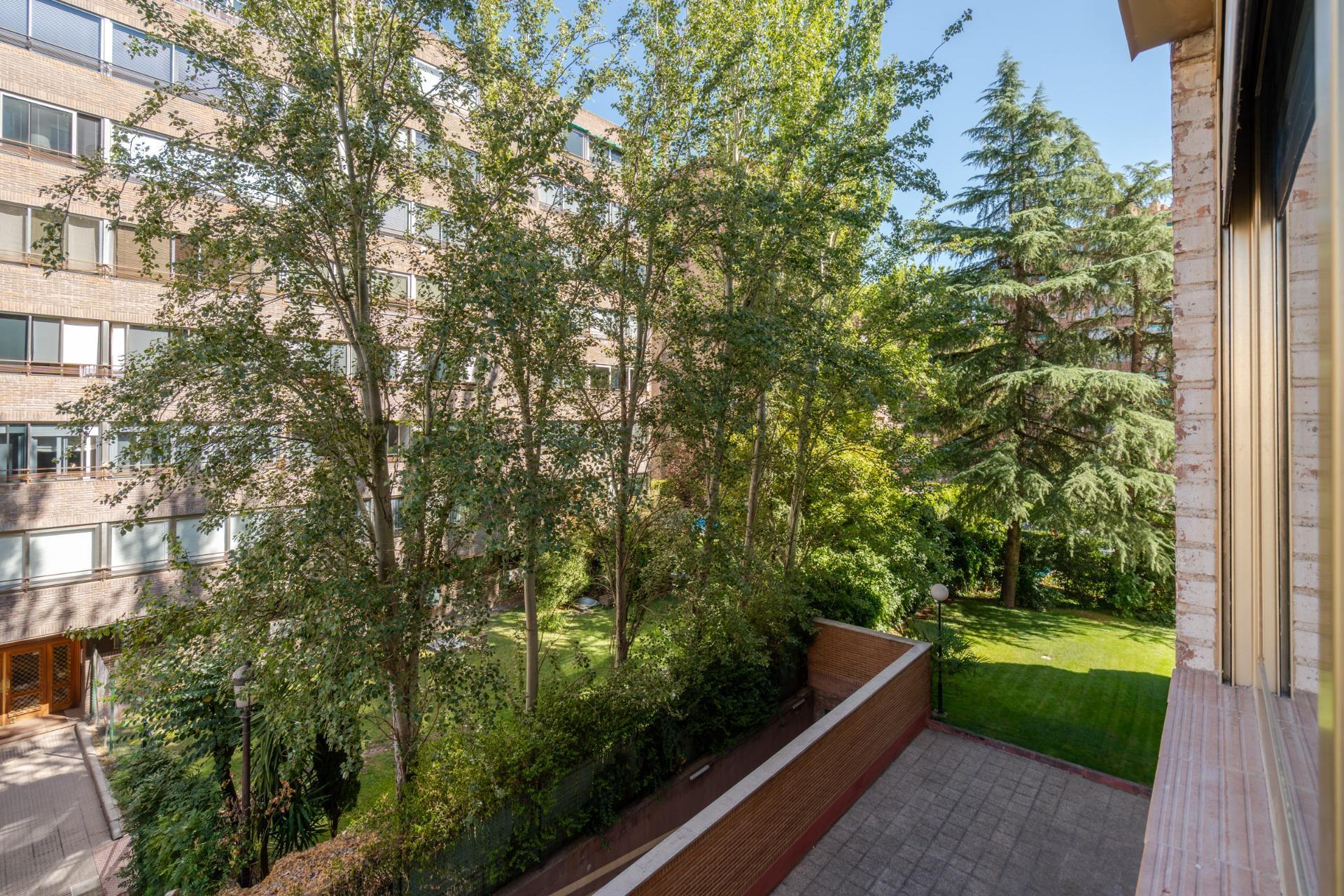 Pisos-Alquiler-Madrid-1842248-Foto-7