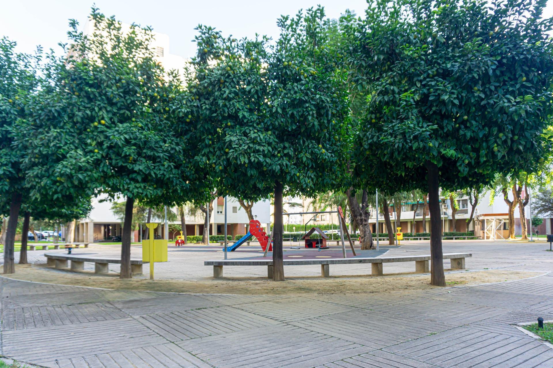 Pisos-Venta-Burguillos-1842263-Foto-4