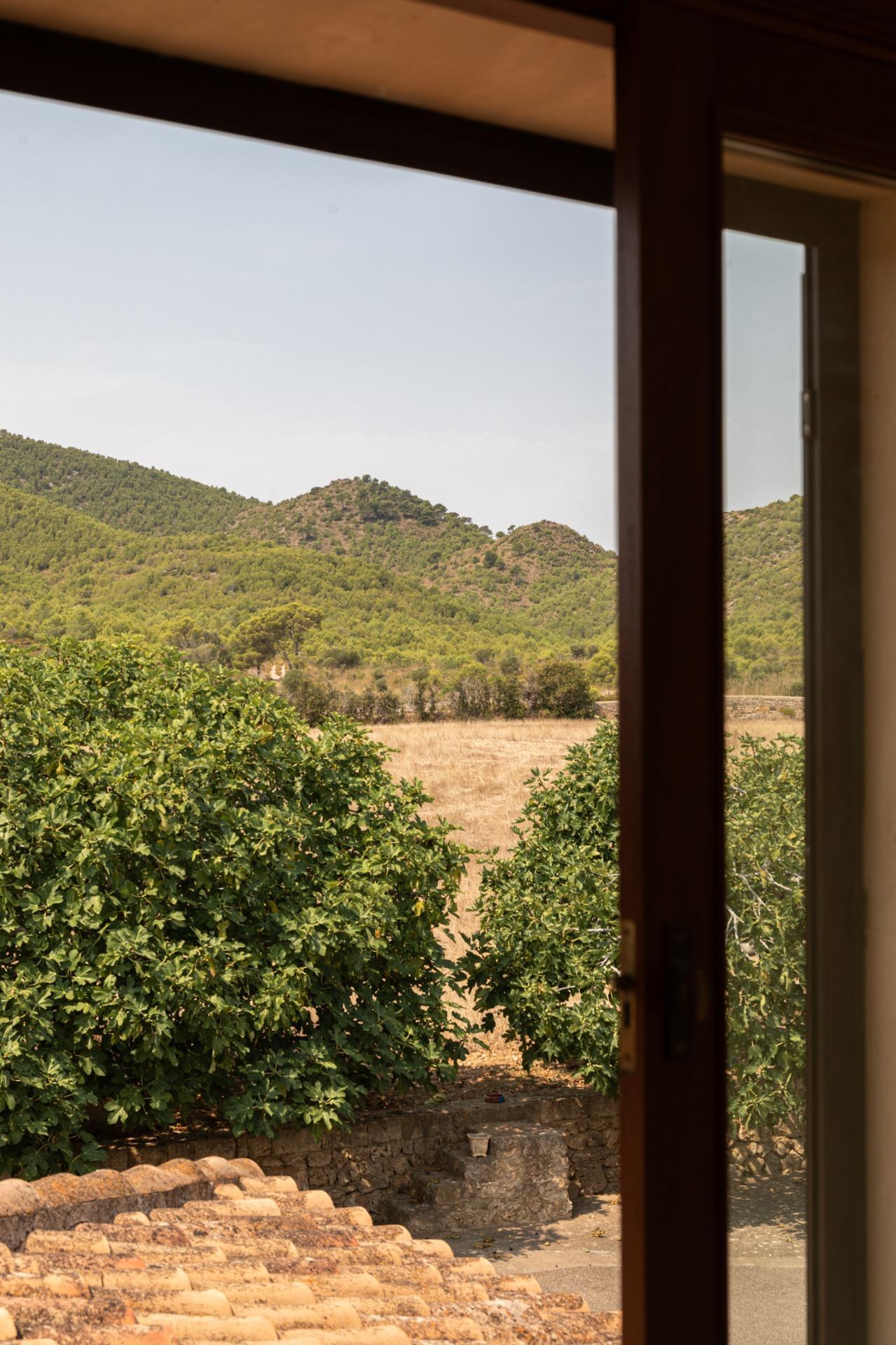 Casas o chalets-Venta-Manacor-1748239-Foto-26