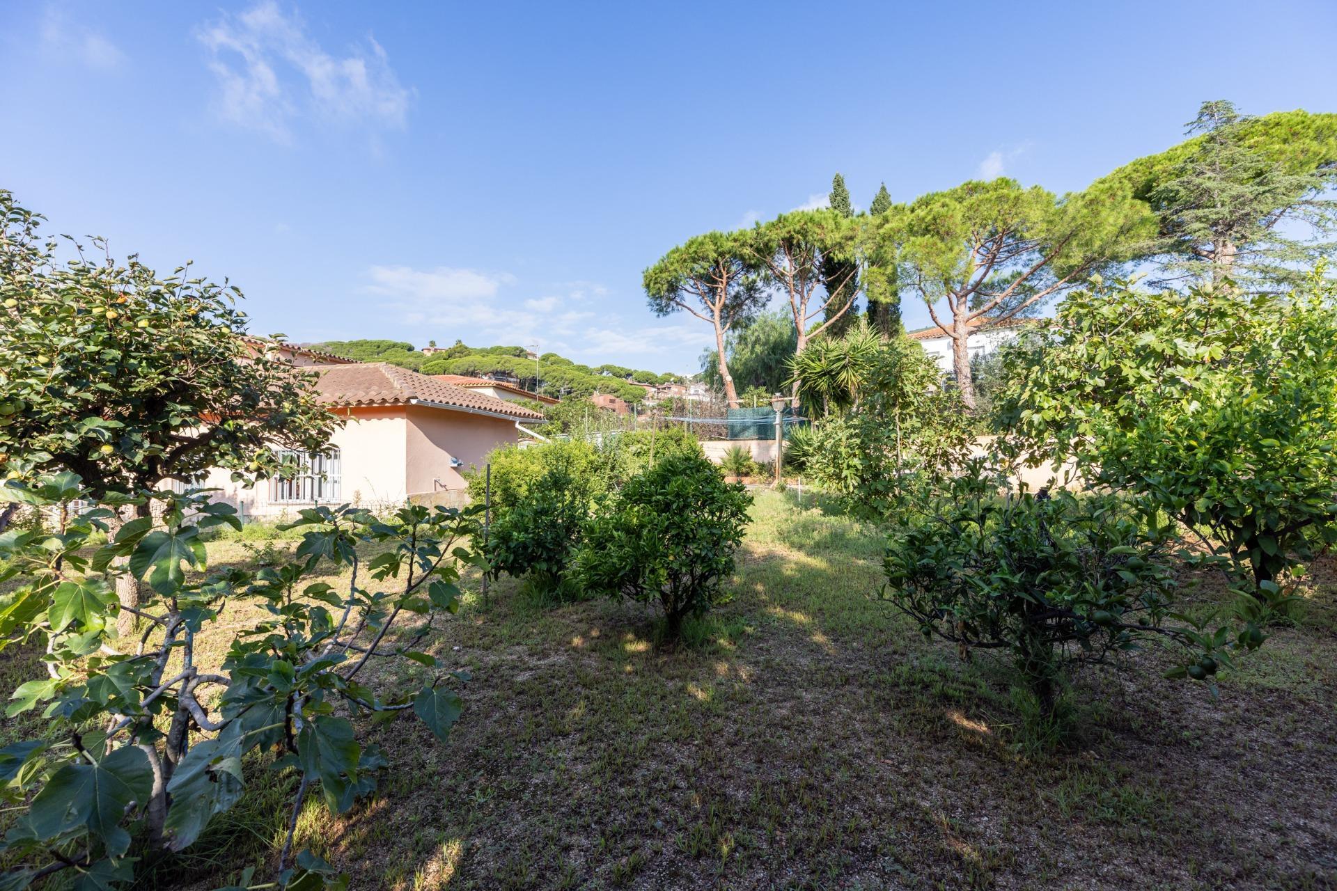 Casas o chalets-Venta-PremiÃ  de Dalt-1842254-Foto-56