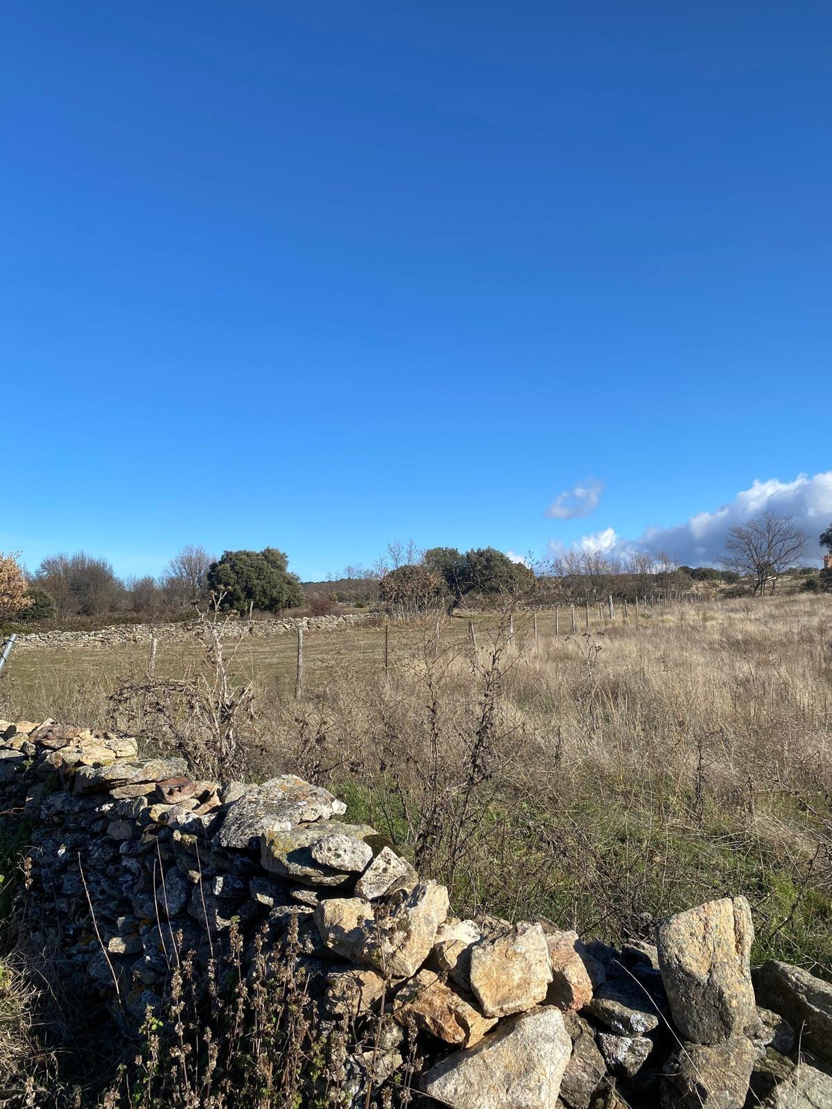 Fincas y solares-Venta-Pedraza-1564904-Foto-4