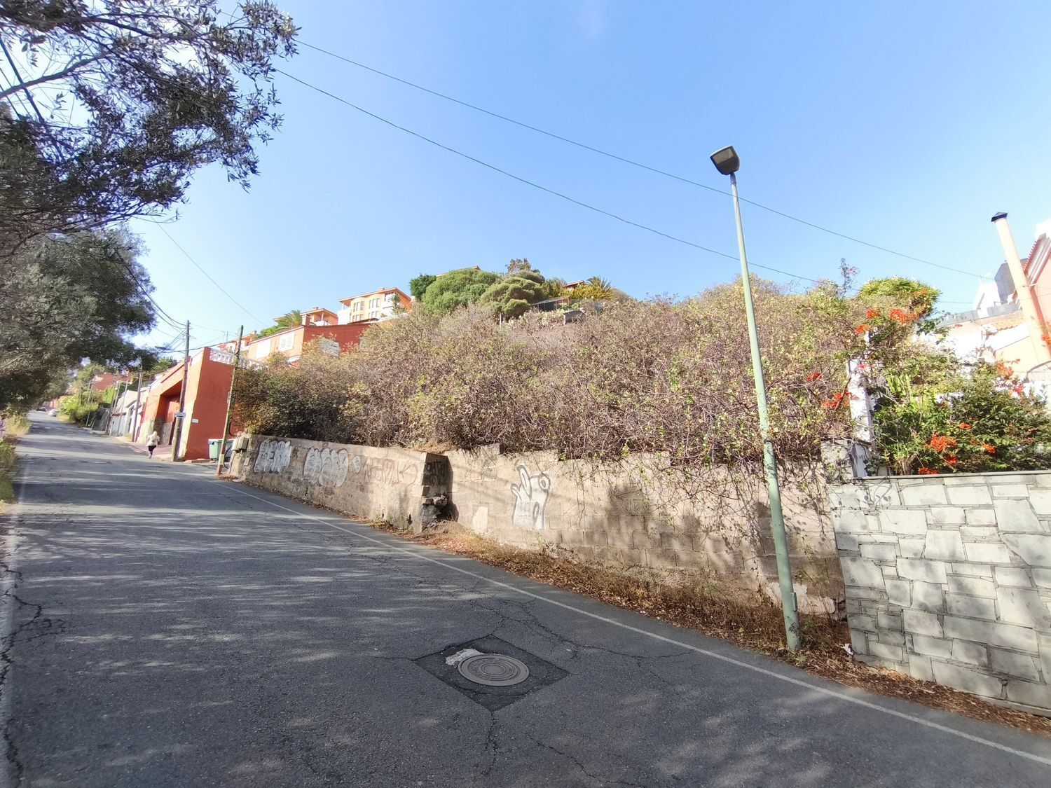 Fincas y solares-Venta-Santa BrÃ­gida-1842735-Foto-8
