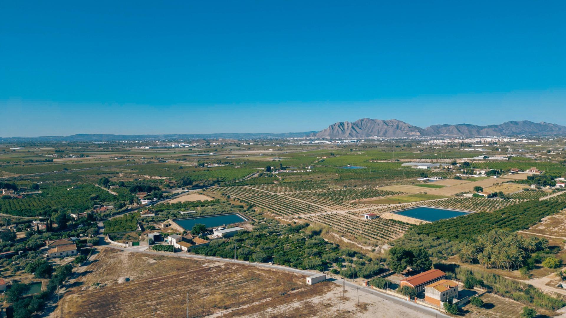 Pisos-Venta-Crevillent-1728159-Foto-7