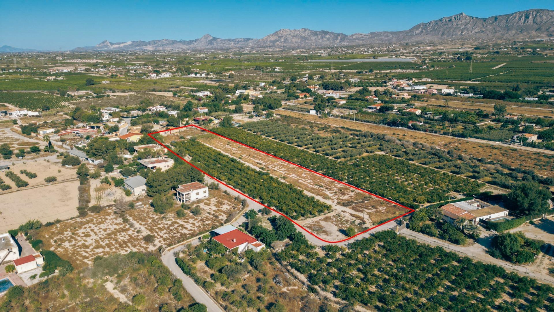 Pisos-Venta-Crevillent-1728159-Foto-9