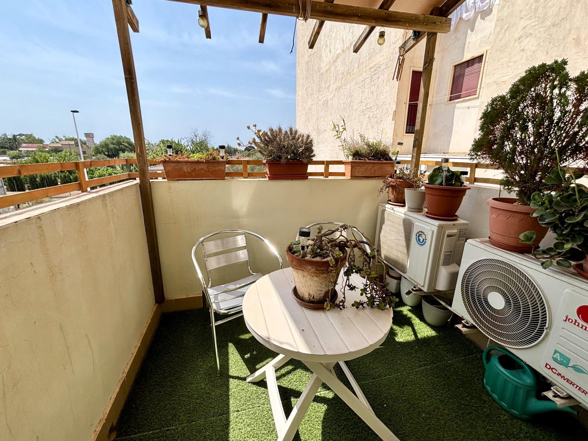 Casas o chalets-Venta-Elche-1941465-Foto-20