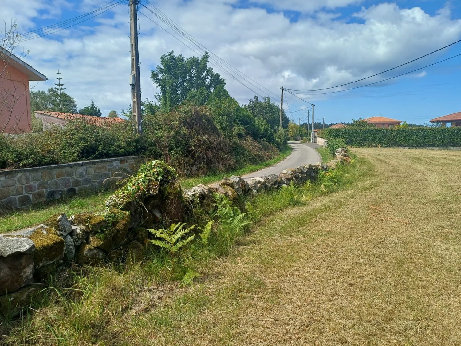 Fincas y solares-Venta-Villaviciosa-1834810-Foto-5
