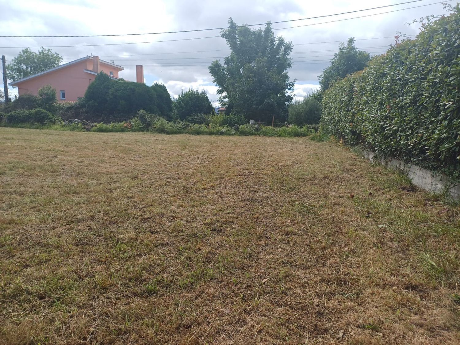 Fincas y solares-Venta-Villaviciosa-1834810-Foto-21