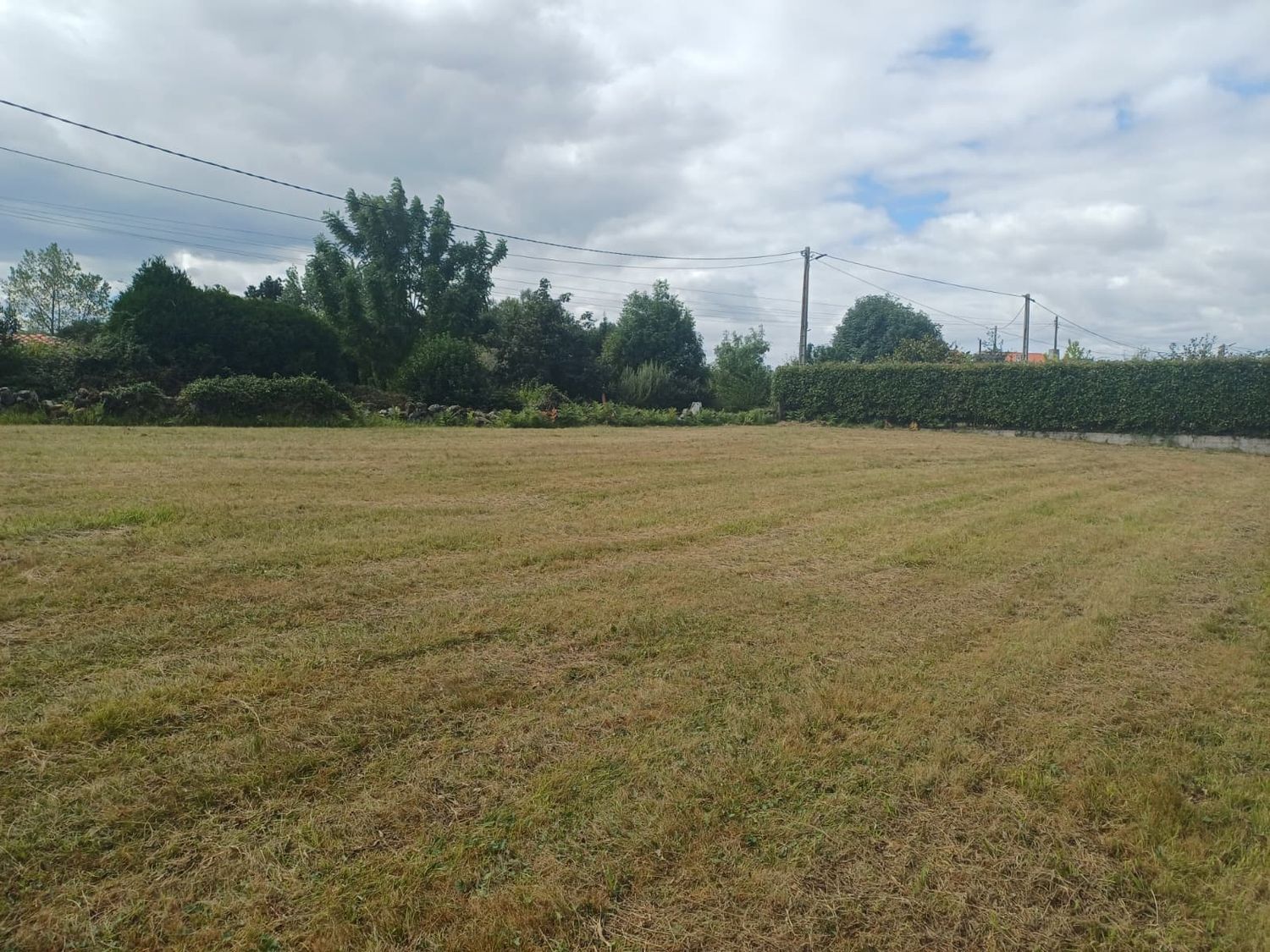 Fincas y solares-Venta-Villaviciosa-1834810-Foto-24