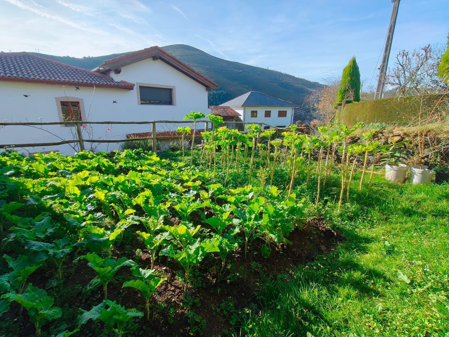 Casas o chalets-Venta-ValdÃ©s-1653722-Foto-31