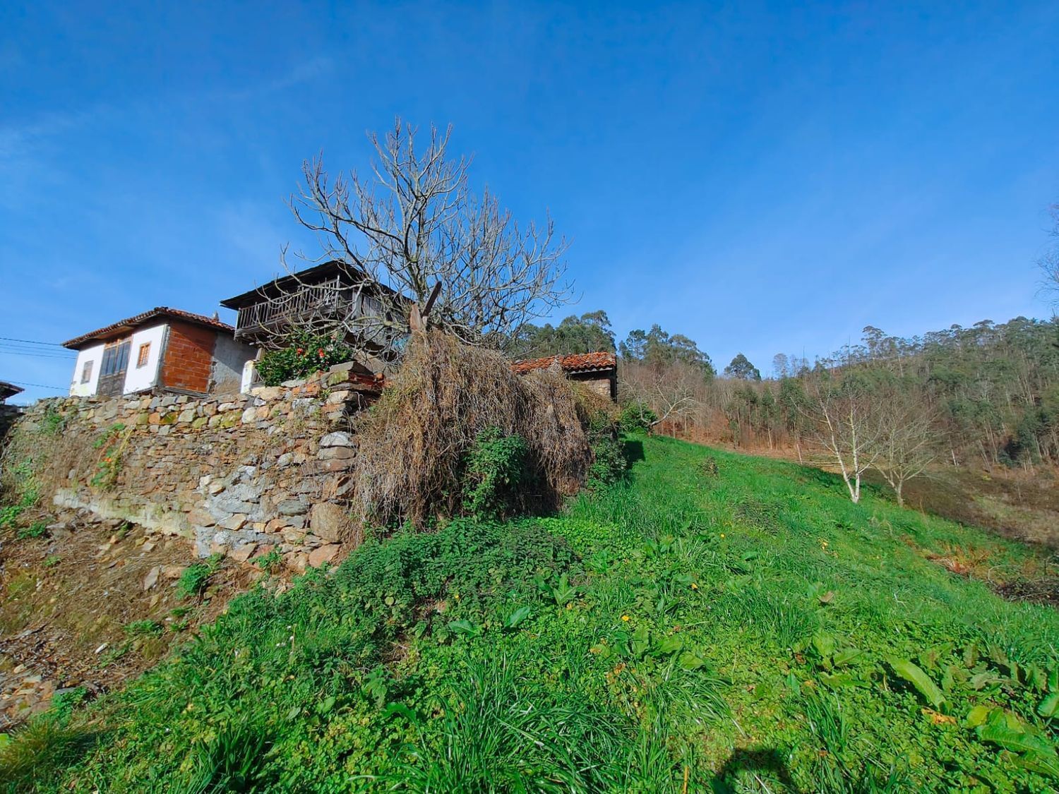 Casas o chalets-Venta-ValdÃ©s-1653722-Foto-36